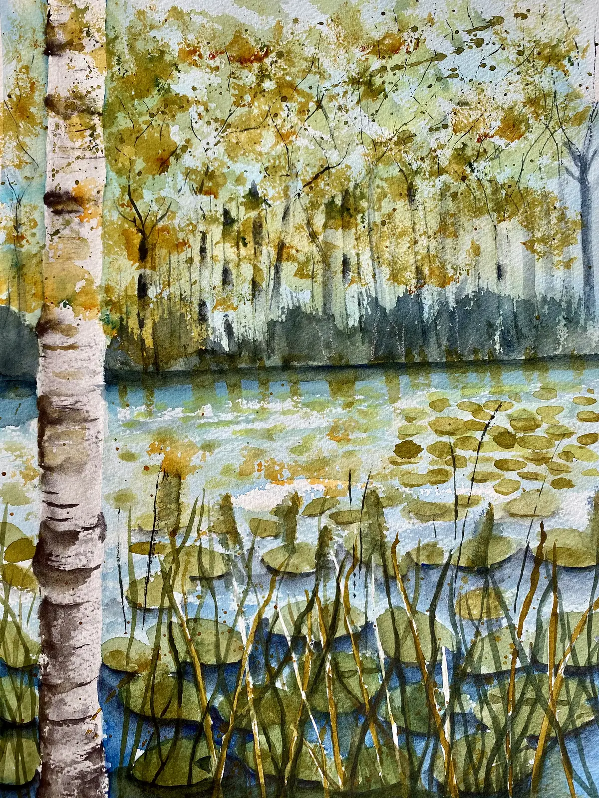 Akvarell Björken vid dammen av Margareta Mattsson
