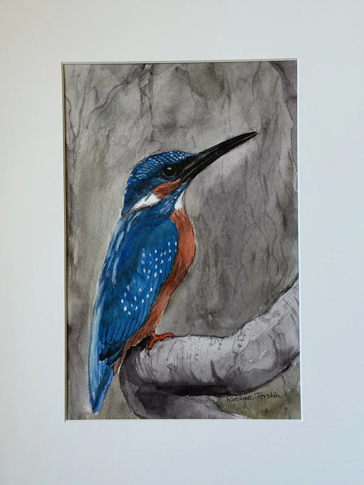 Akvarell Kungsfiskaren i Uppsala av Kristina Forslin