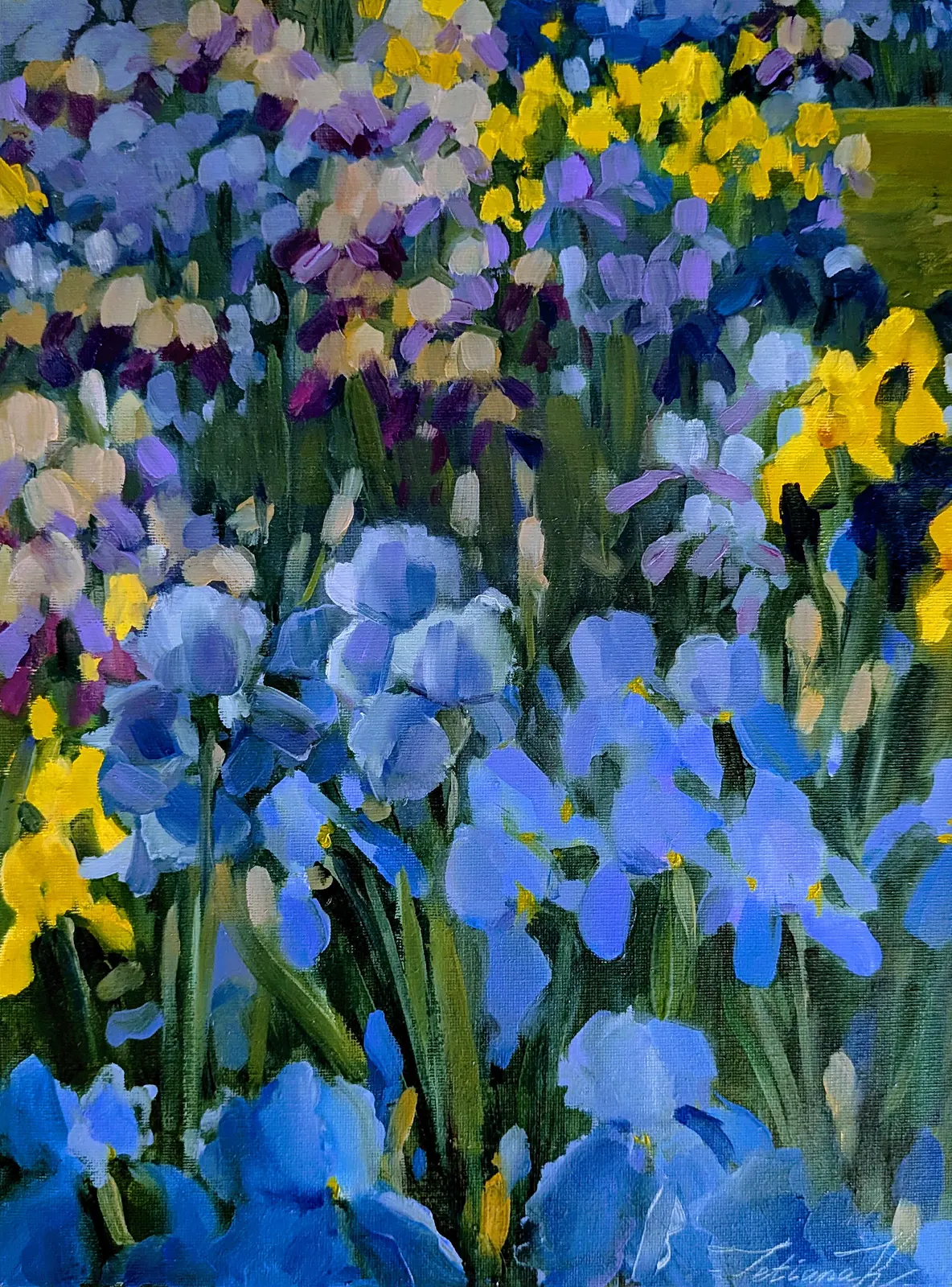 Oljemålning Irises 2 av Tetiana Kozhushko