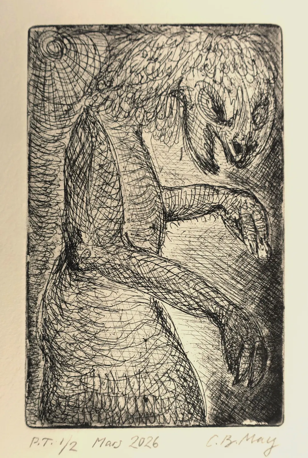 The Misunderstood av Charles Benjamin May