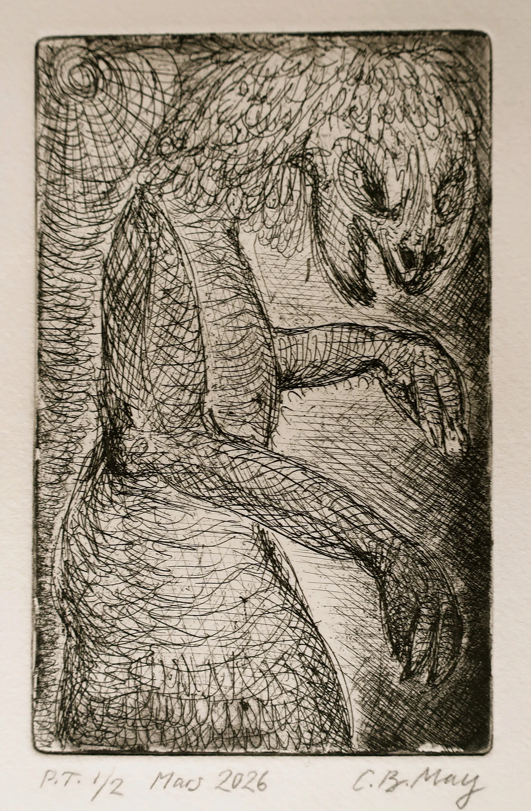 The Misunderstood av Charles Benjamin May
