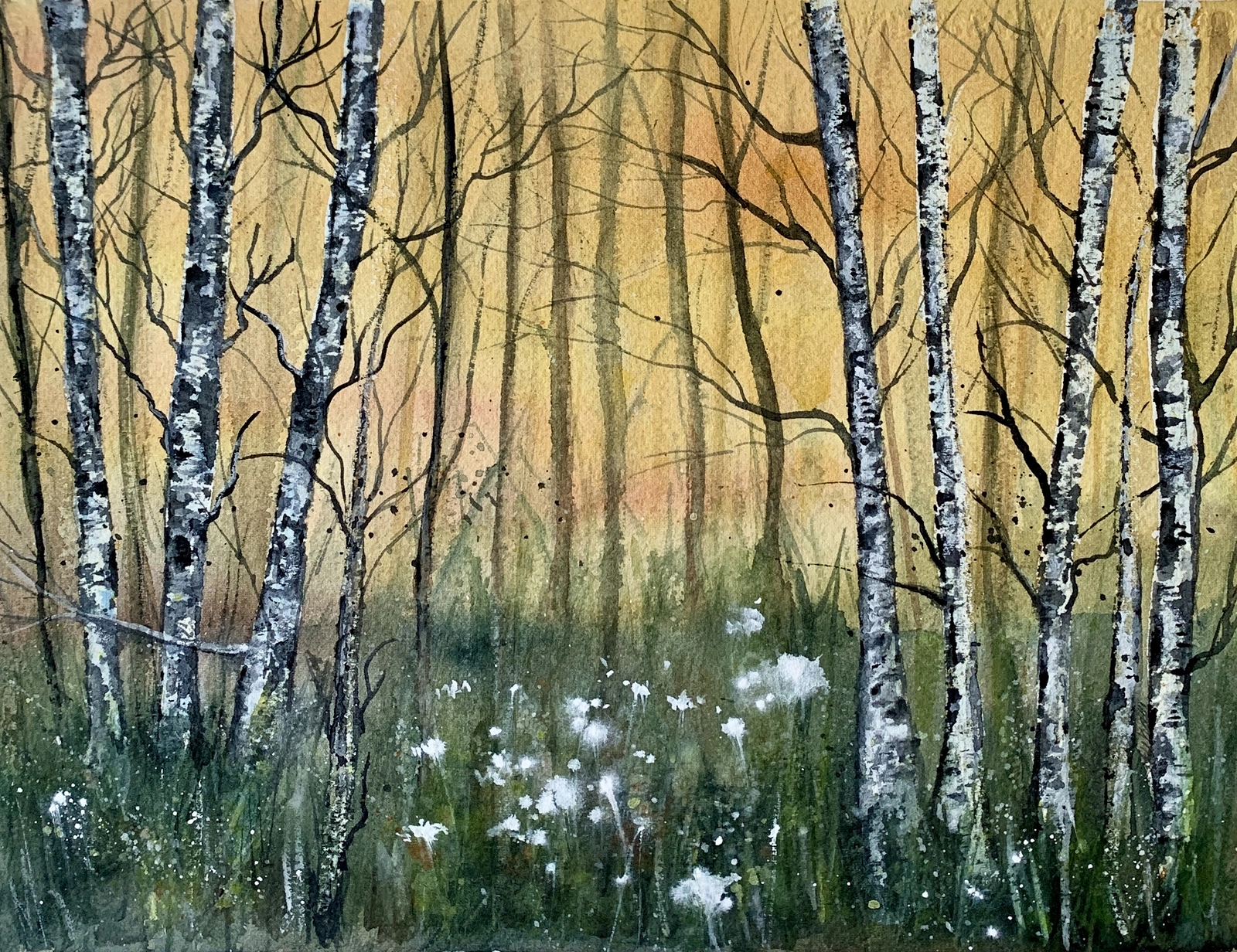 Akvarell Björkskog av Annelie Wadin