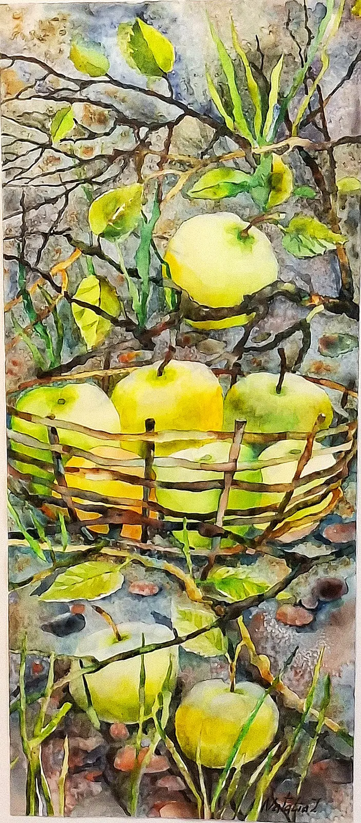 Akvarell äpplen av Natalia Johansson