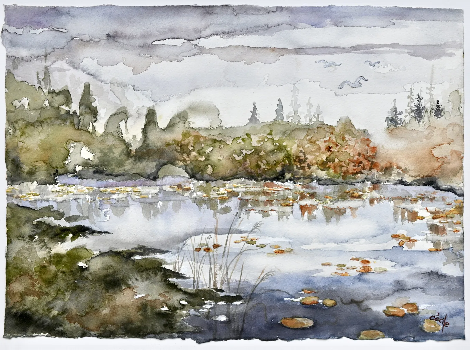 Akvarell Paus i Livet av Cécile Hansson