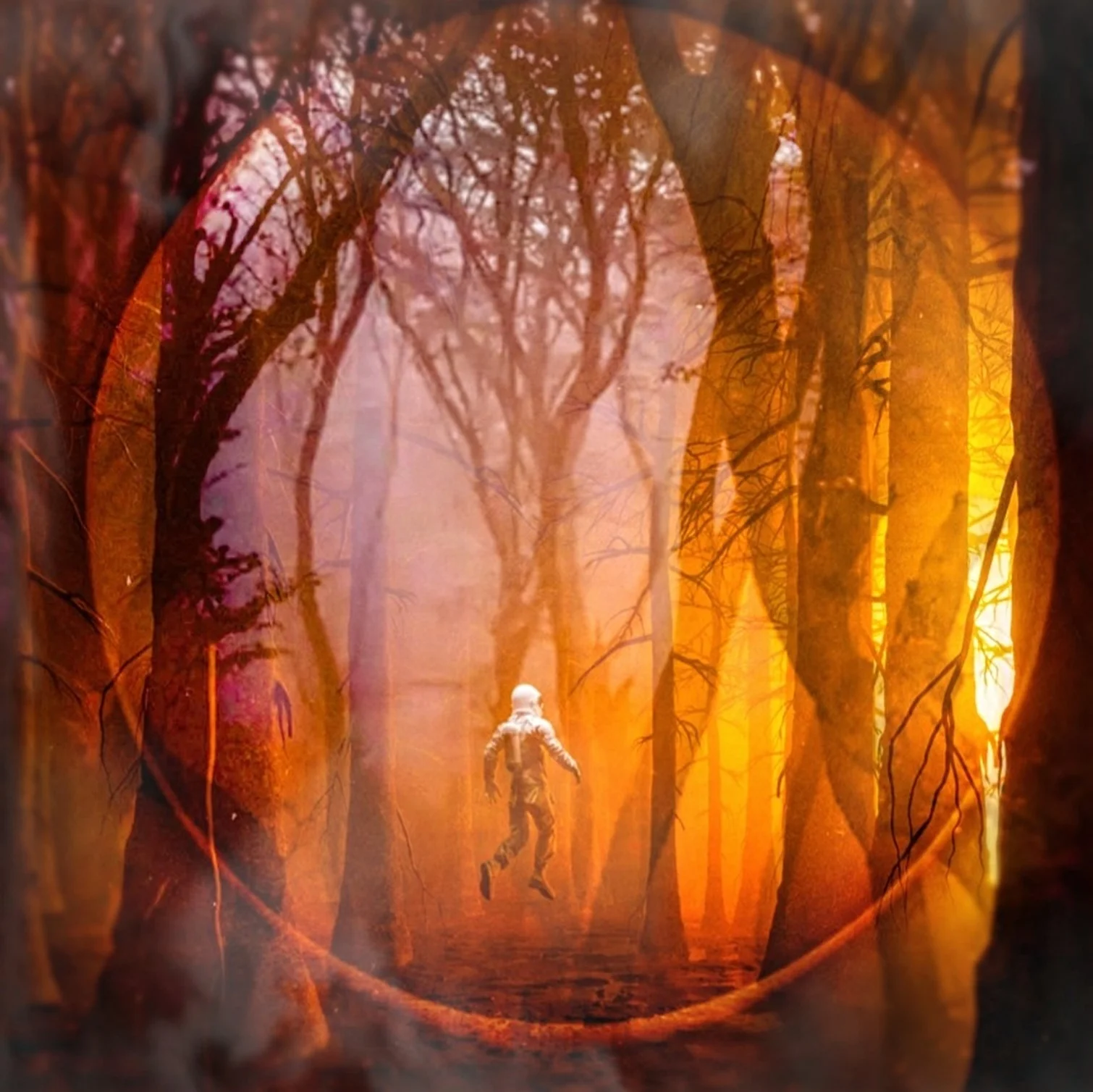 Lost in woods av Robert J Pisanikovski