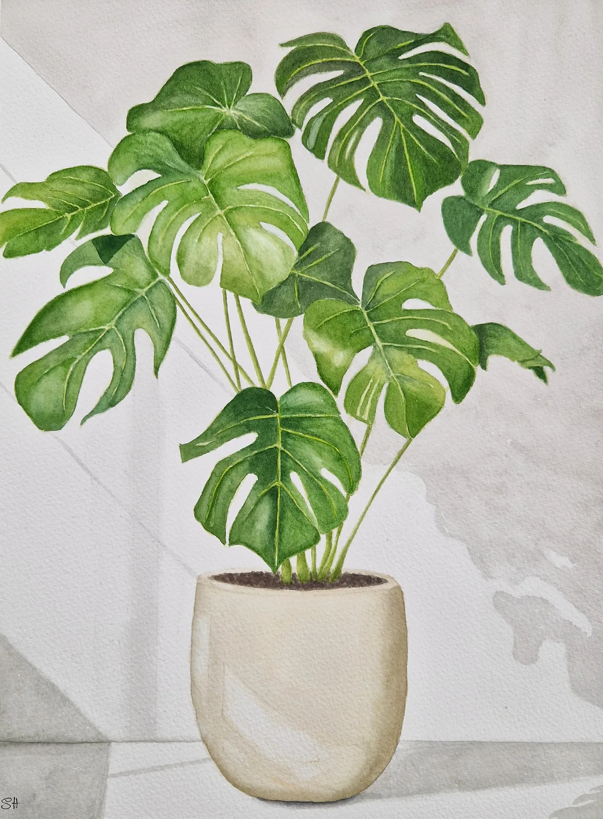 Akvarell Monstera i fönsterljus av Susanne Hagemark