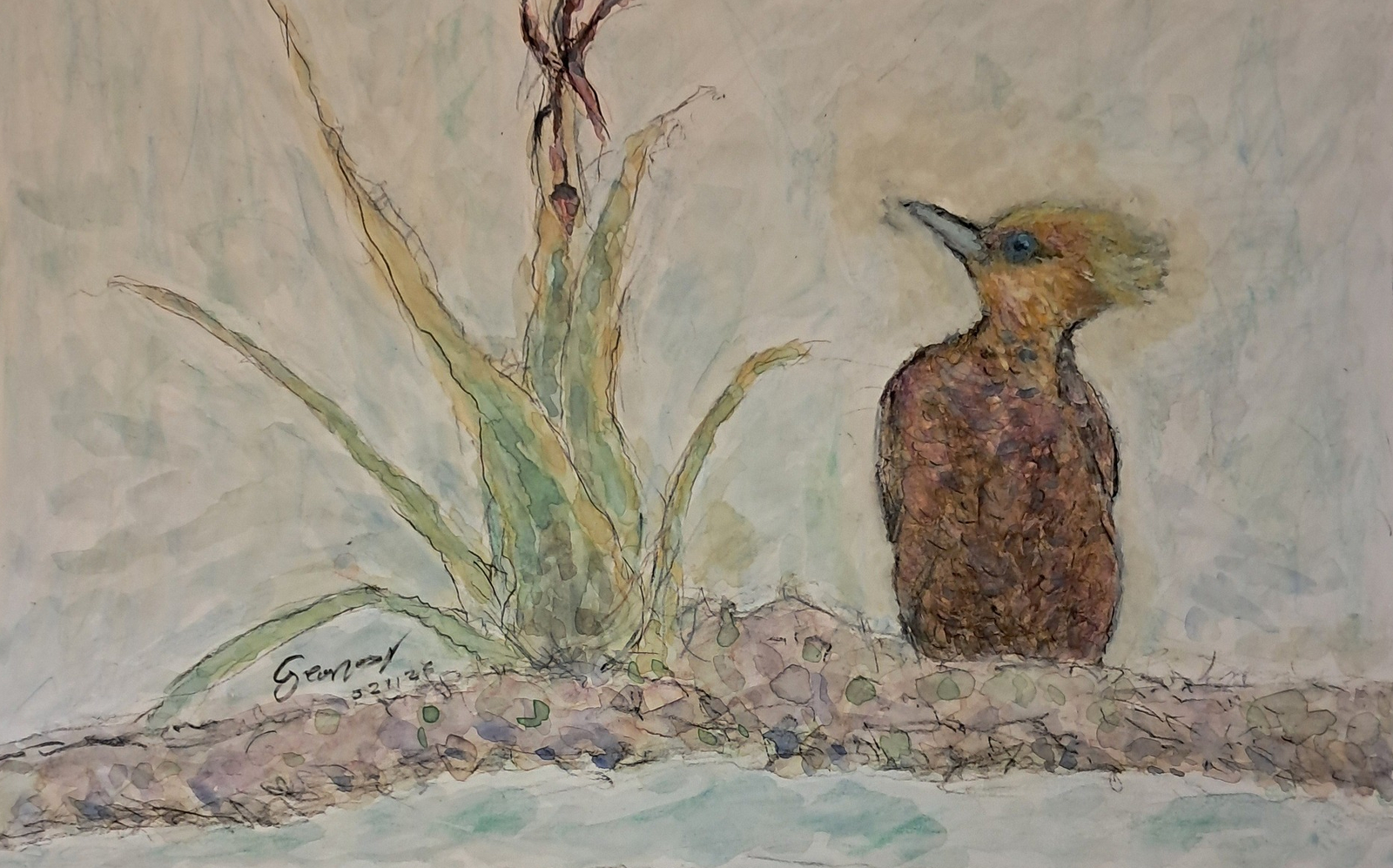 Akvarell Exotisk fågel av Georgios Voutsas