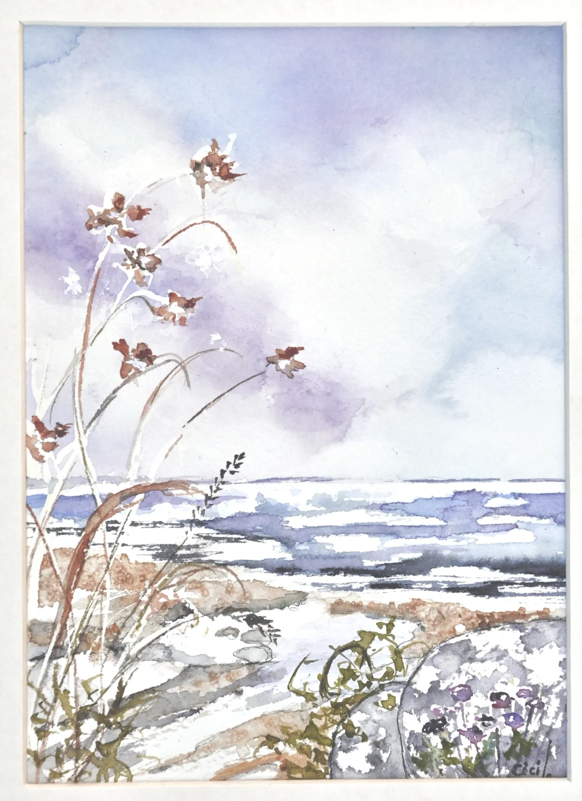 Akvarell Strandblommorna av Cécile Hansson