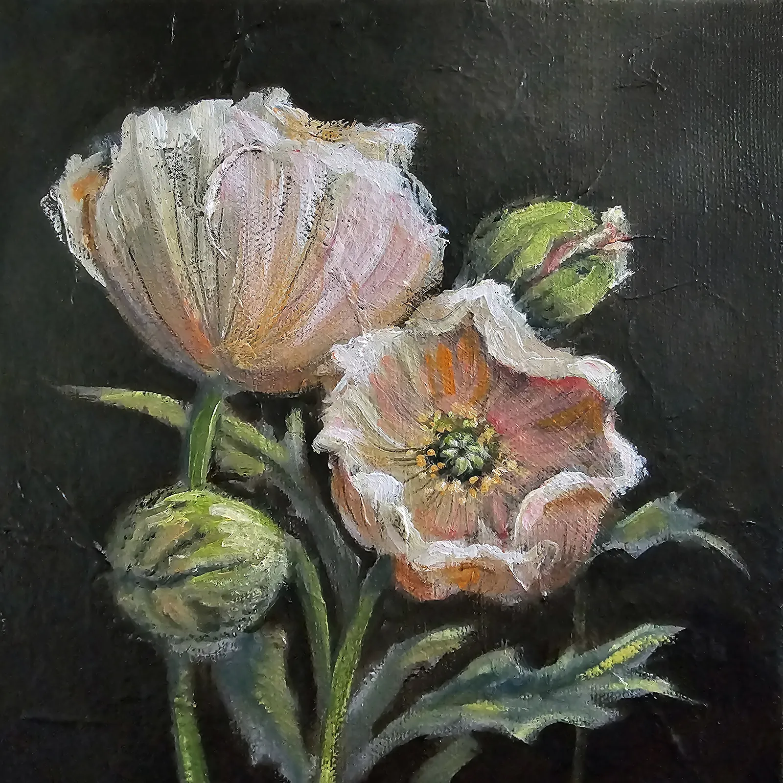 Oljemålning Papaver av Malin Östlund