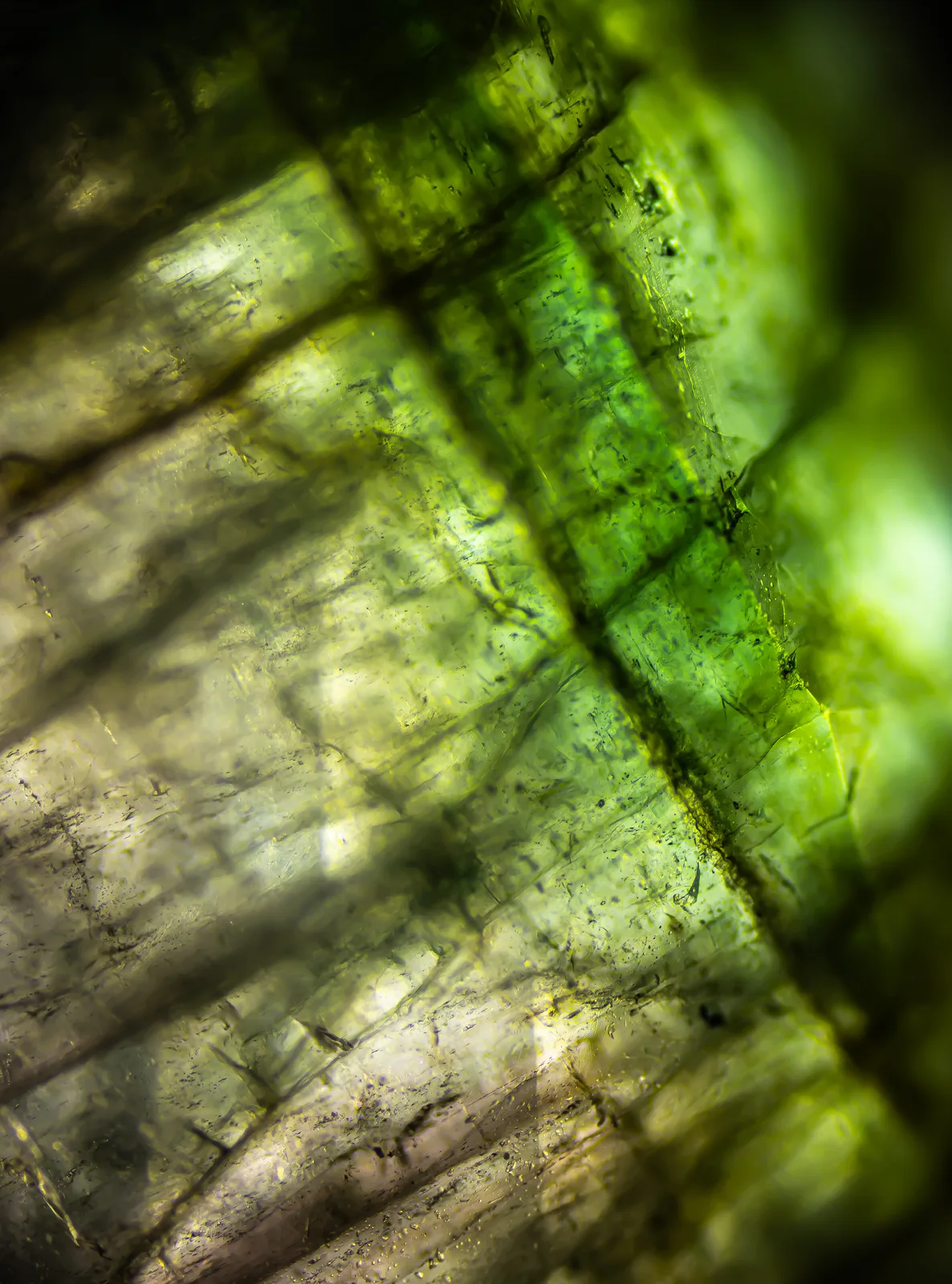 Emerald Water av Olle Hillborg