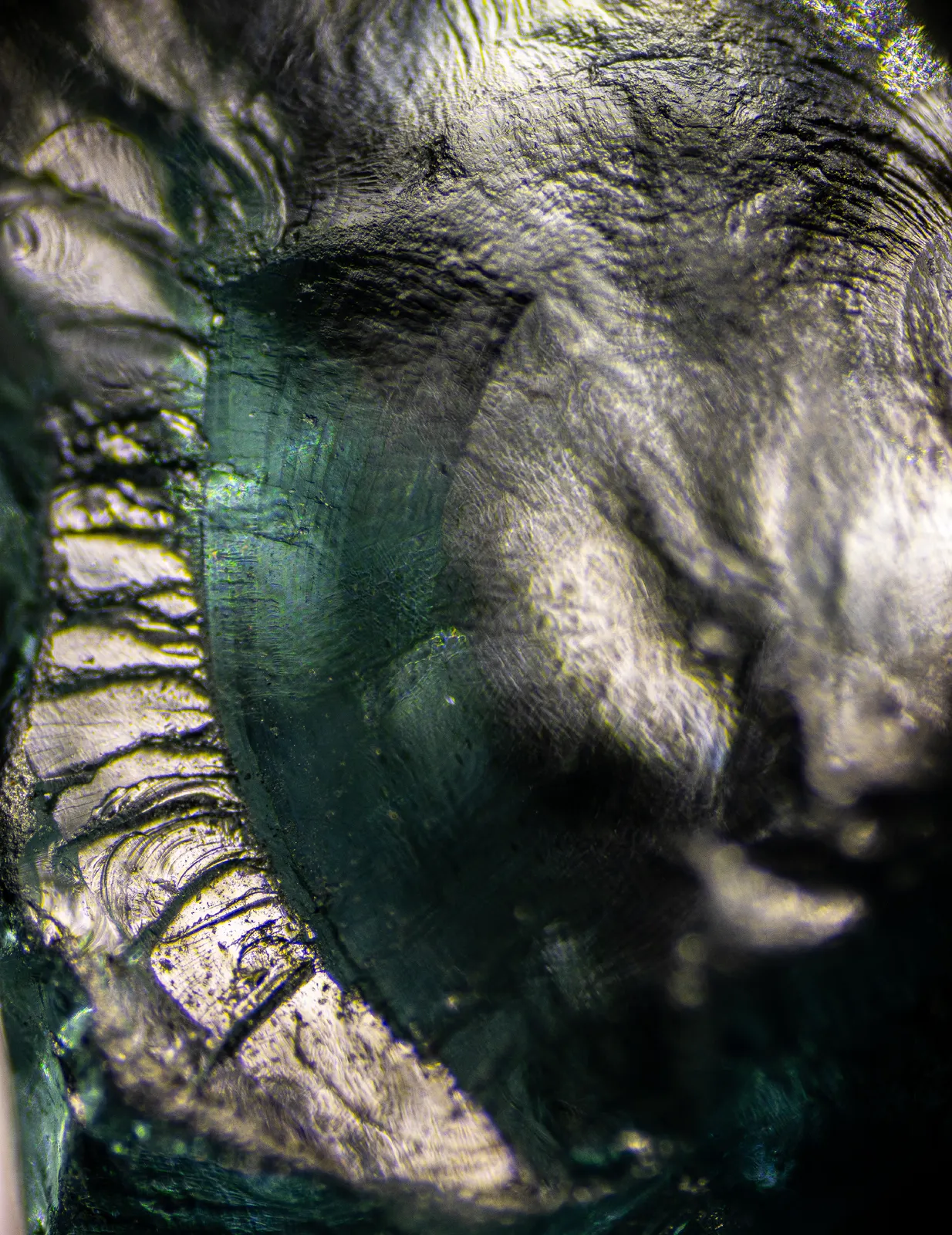 Apatite fossil av Olle Hillborg