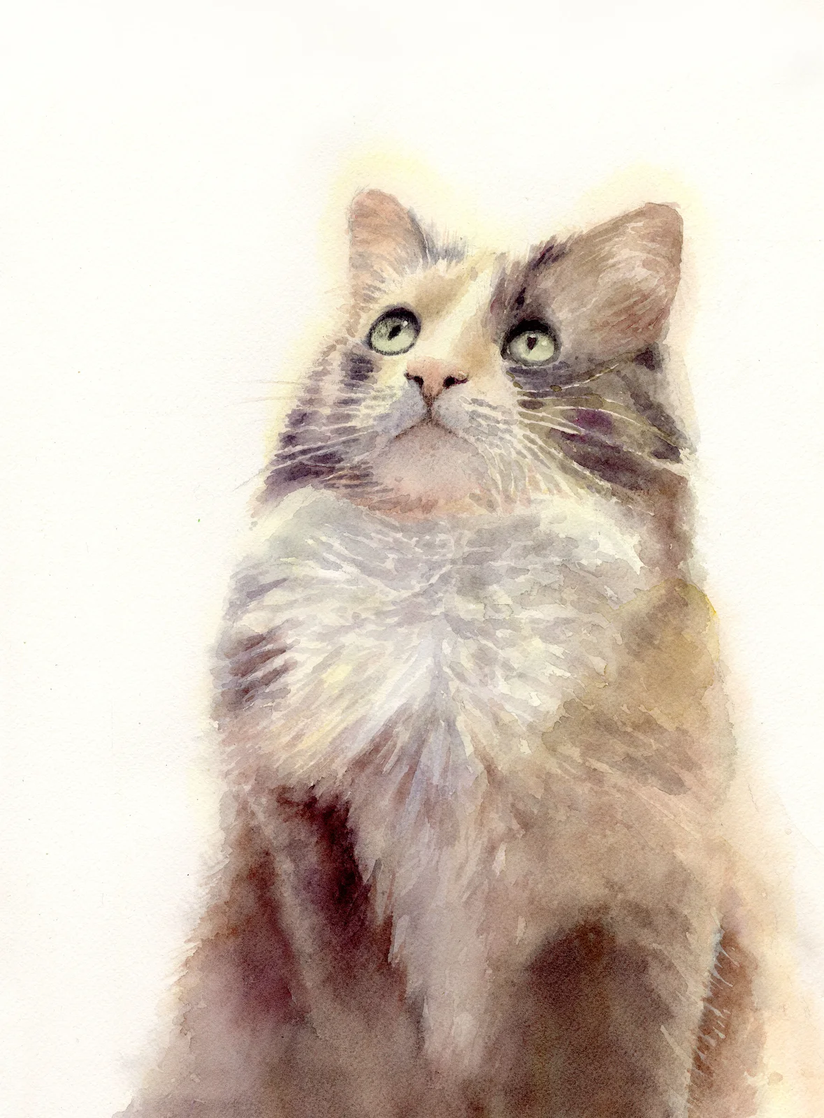Akvarell Katt av Bea Carlsson