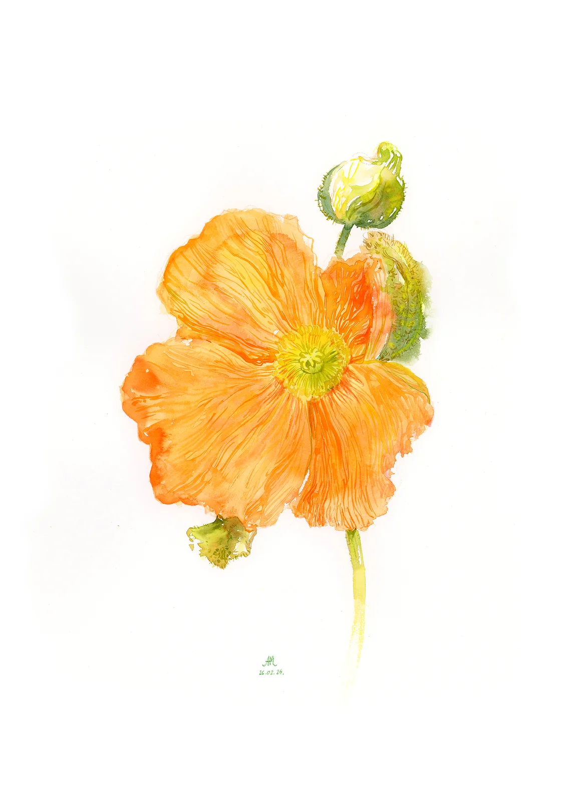 Akvarell Orange flower av Anastasiia Mazeina