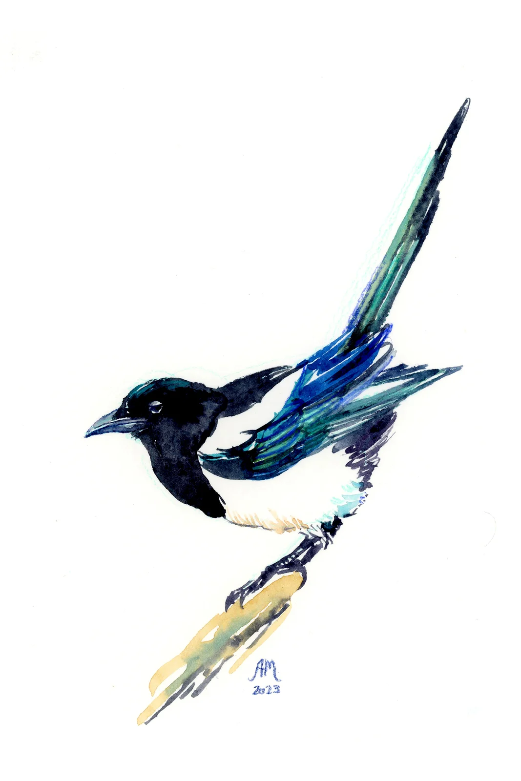 Akvarell Magpie av Anastasiia Mazeina