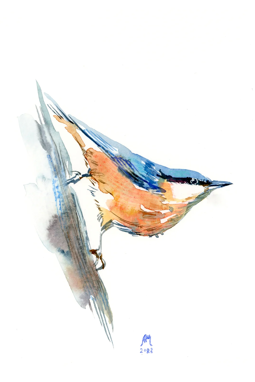 Akvarell Nuthatch av Anastasiia Mazeina