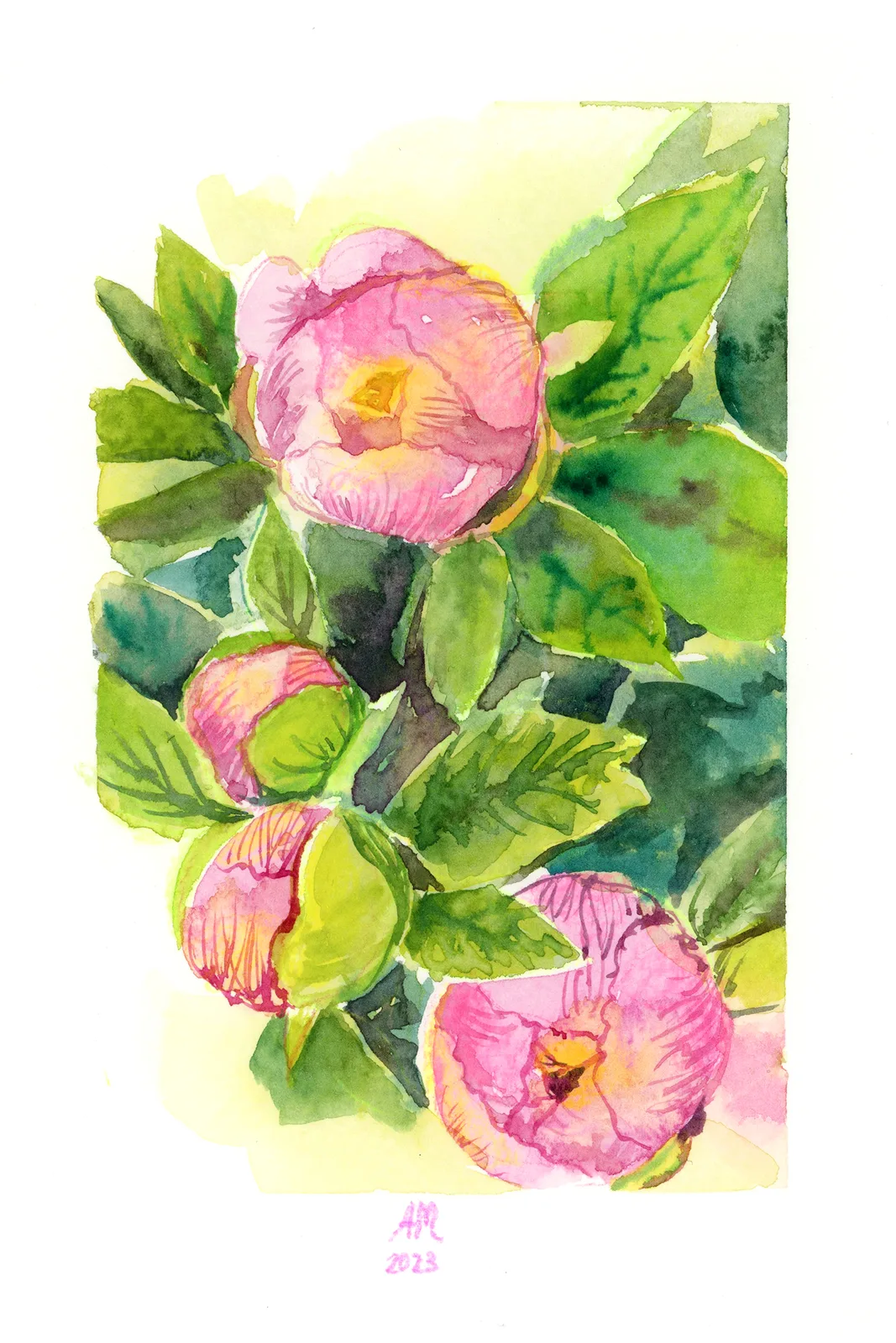 Akvarell Peonies av Anastasiia Mazeina
