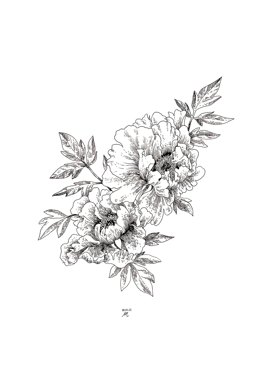 Black peonies av Anastasiia Mazeina