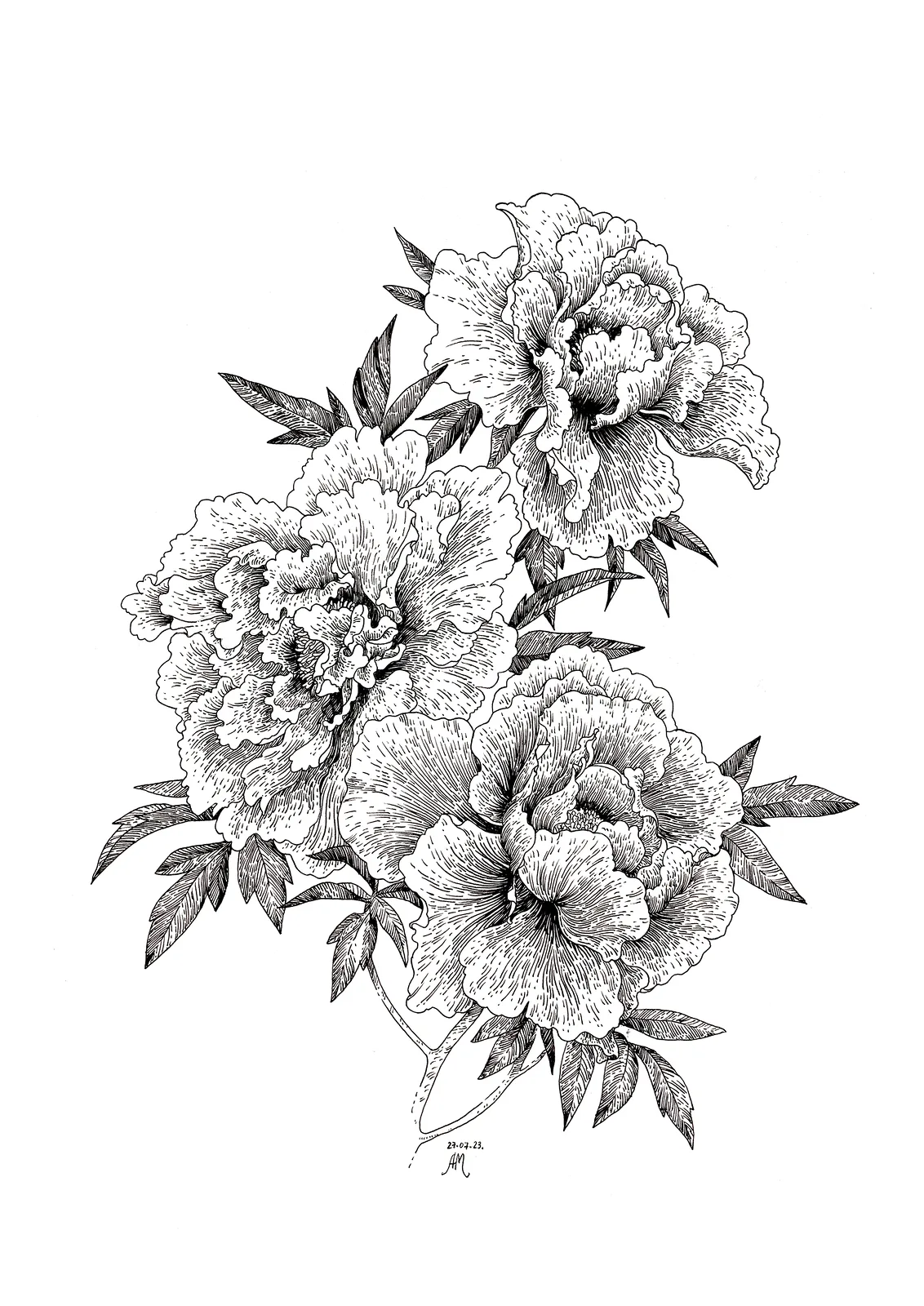 Three black peonies av Anastasiia Mazeina
