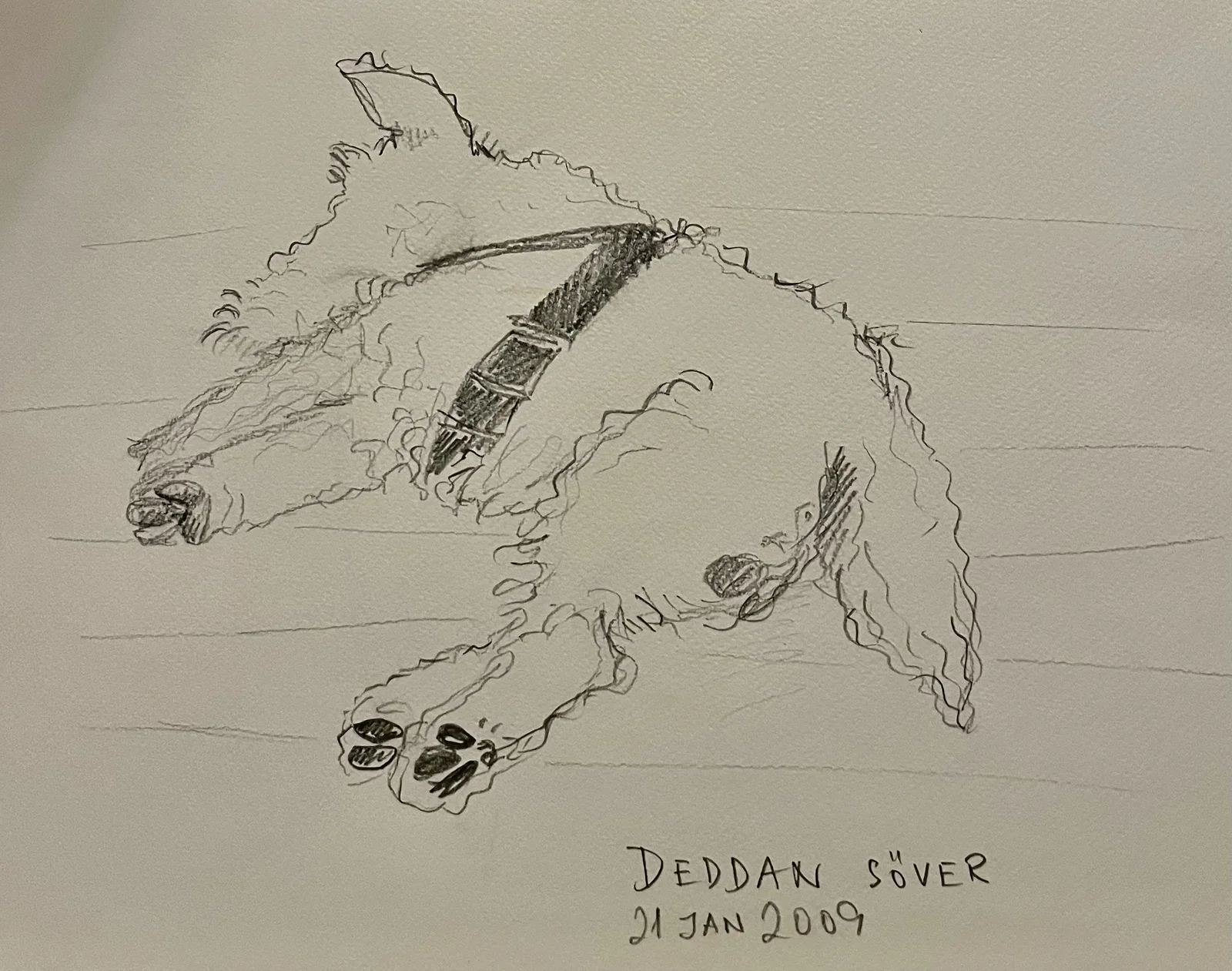 Deddan sover av Natasha Zacharoff
