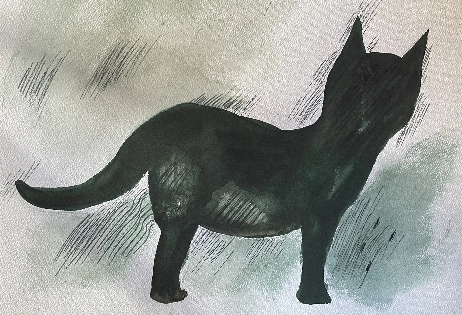 Akvarell Katt nr 2 av Gunilla Tuvin