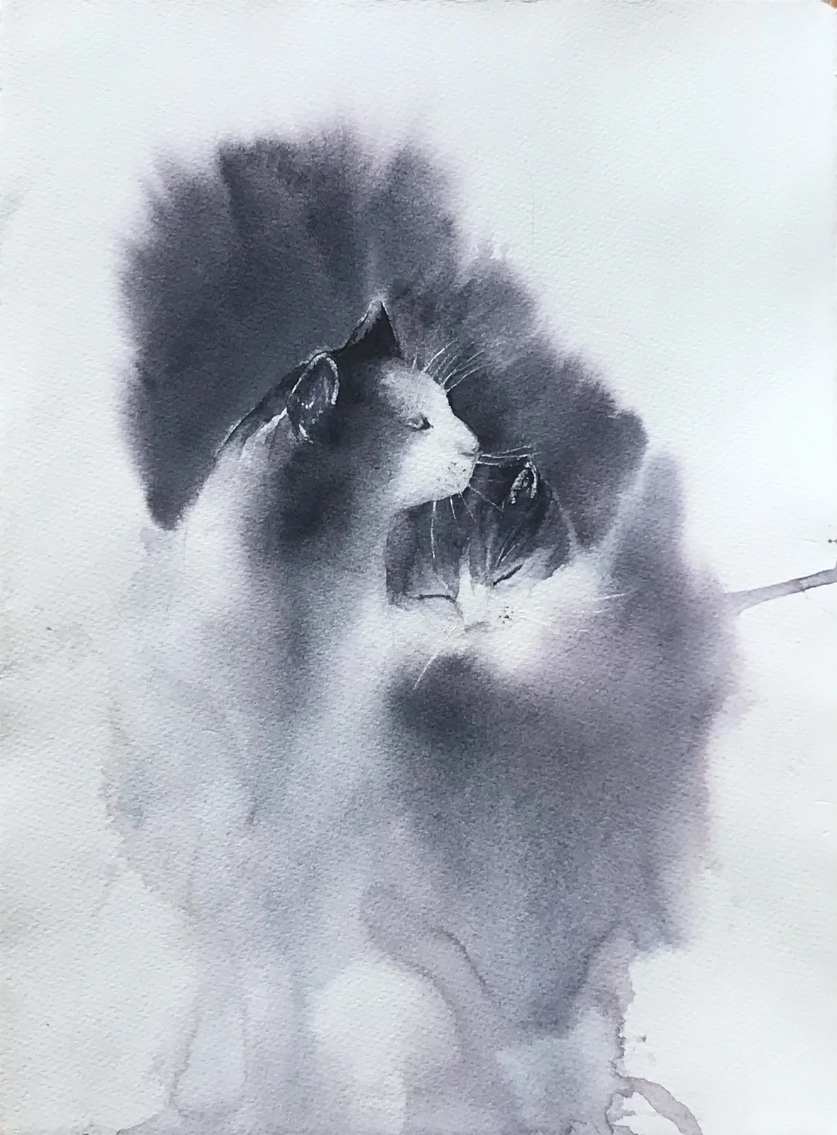 Akvarell Monokrom kattbild av Margareta Snell