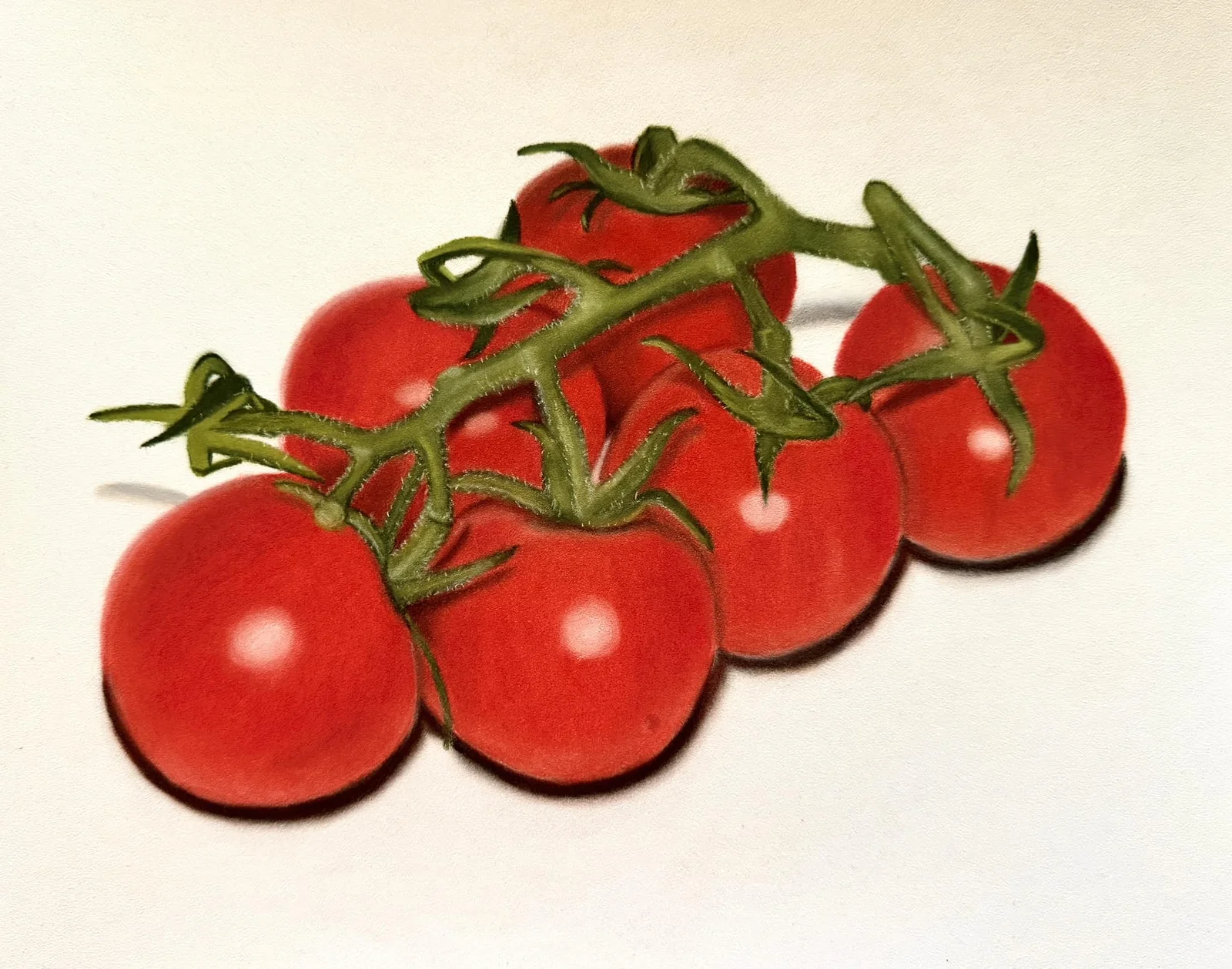 Tomaterna av Nina Ringbom