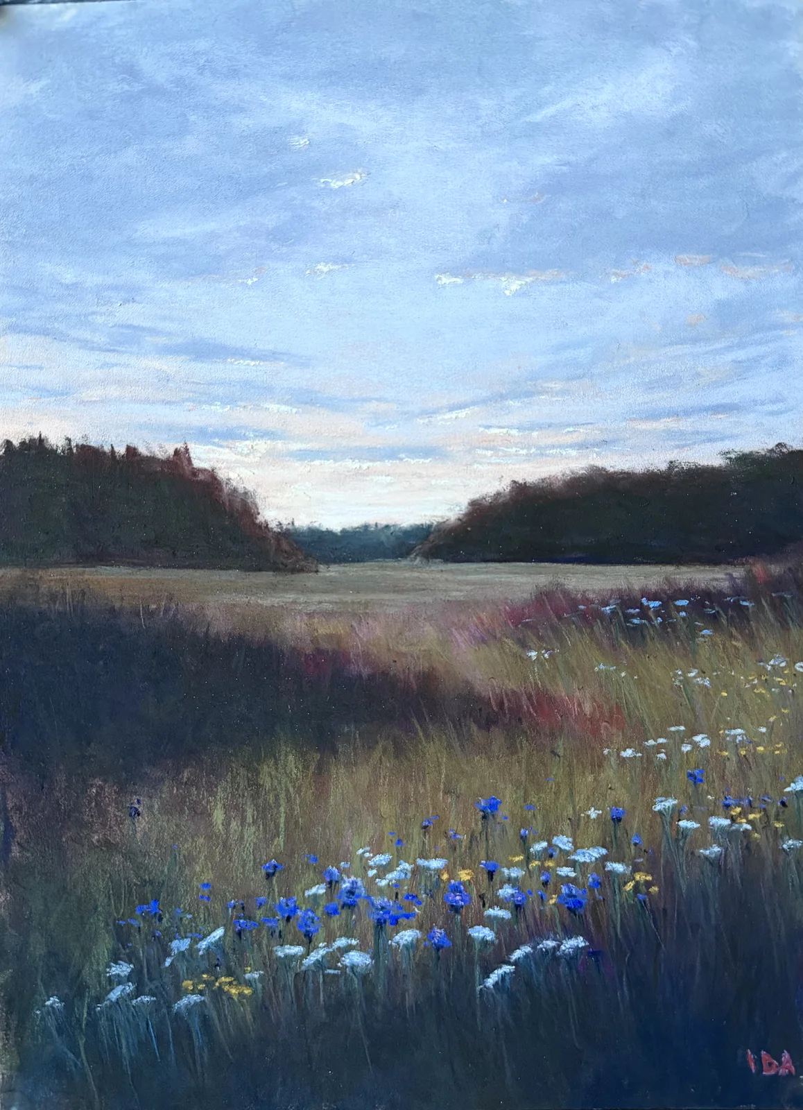 Stilla över ängen av Ida Söderfjord