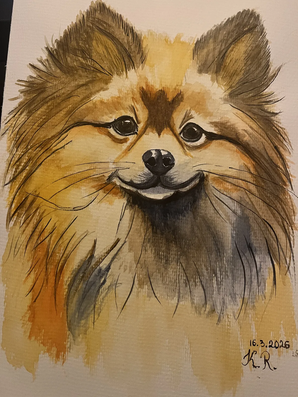 Akvarell Pomeranian av Kateryna Rudenko