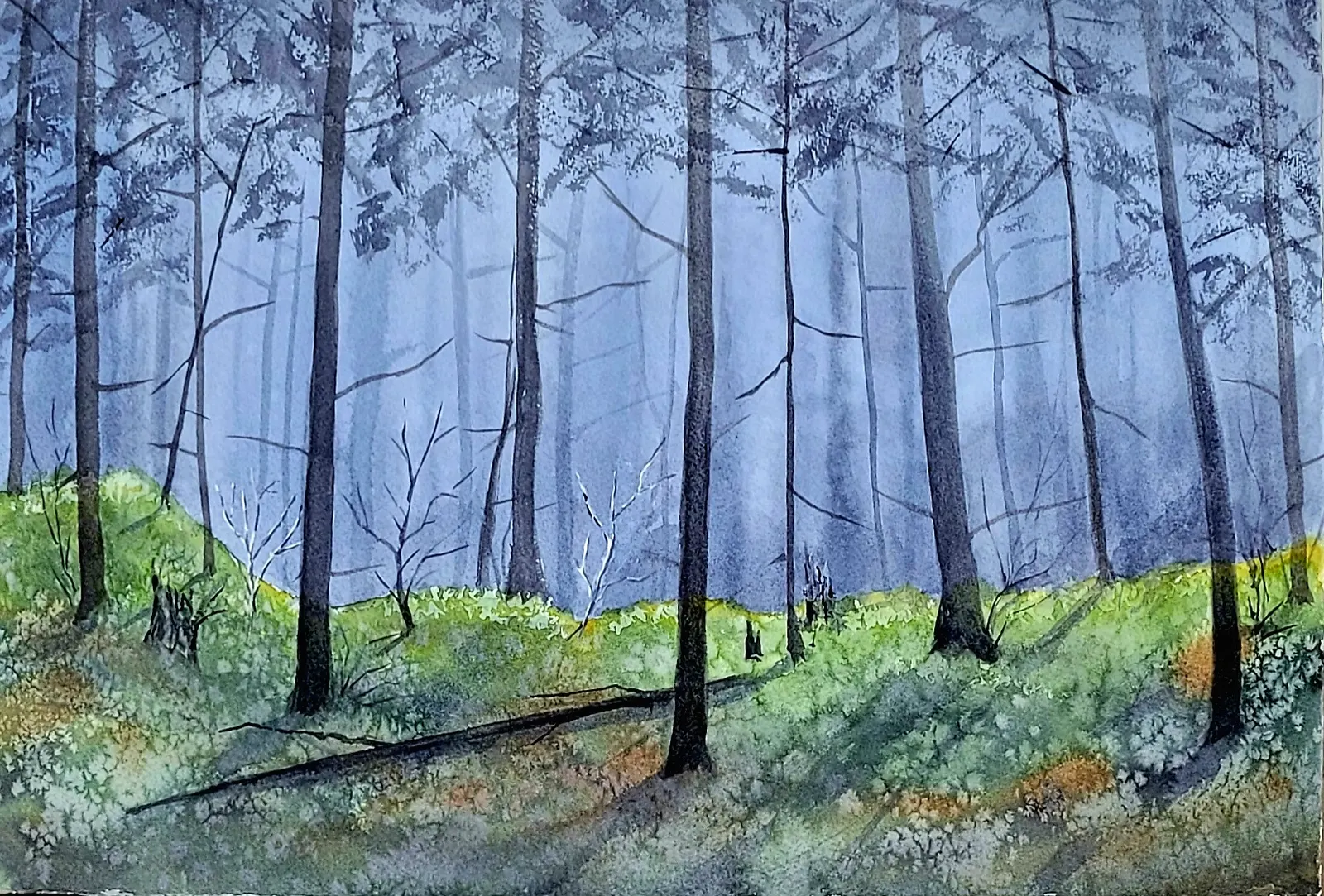 Akvarell Skogen är full av mossa av Lena Bovin Adolfsson