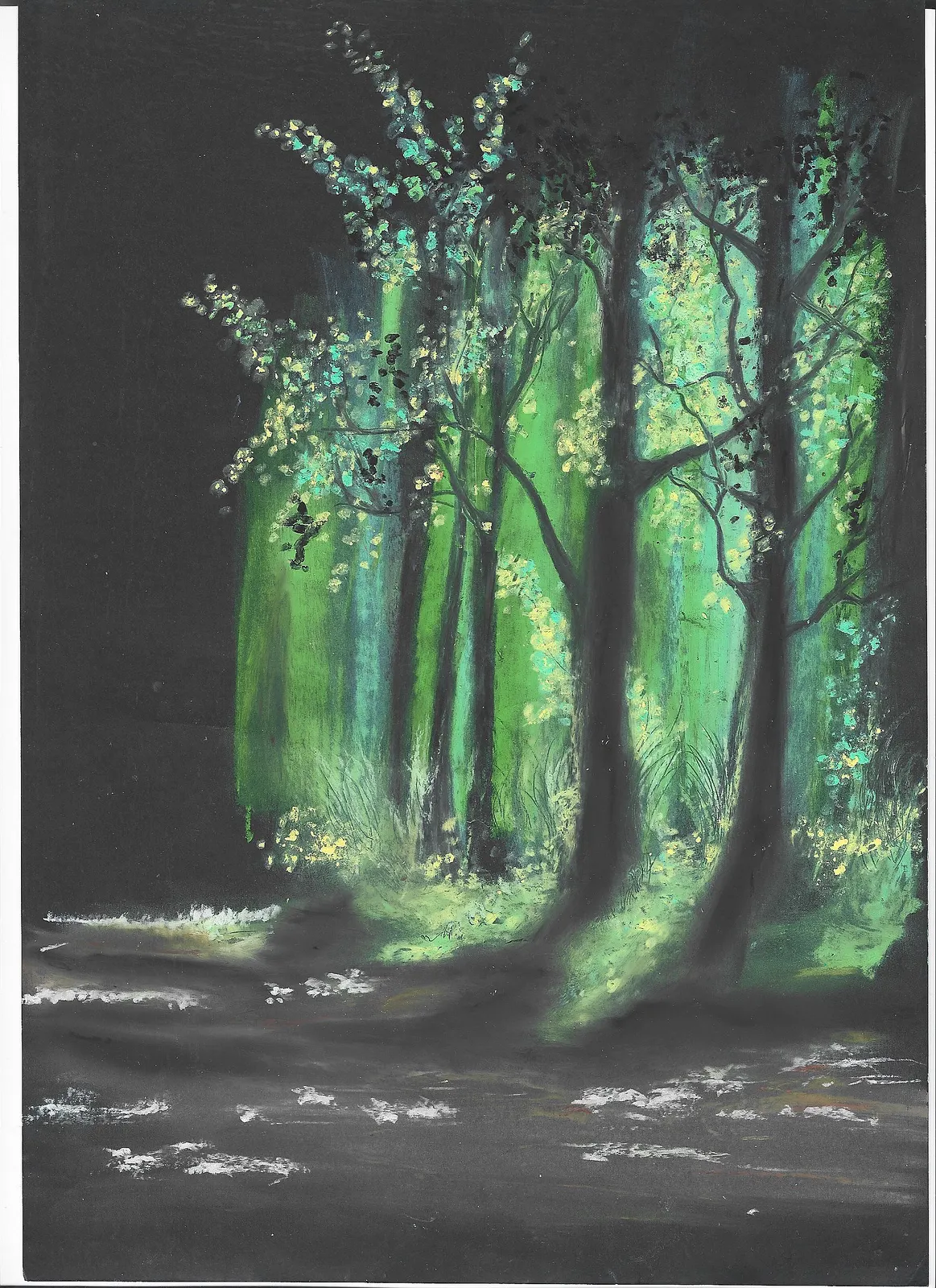 Skog av Duvan