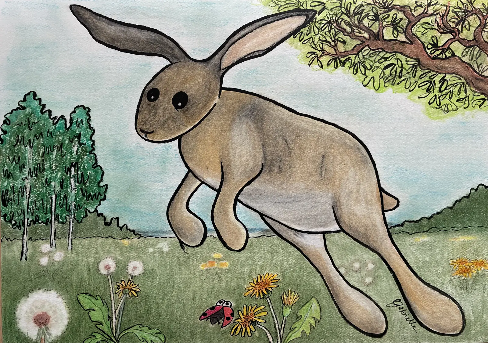 Hare på sommaräng av Gabrielle van der Wal