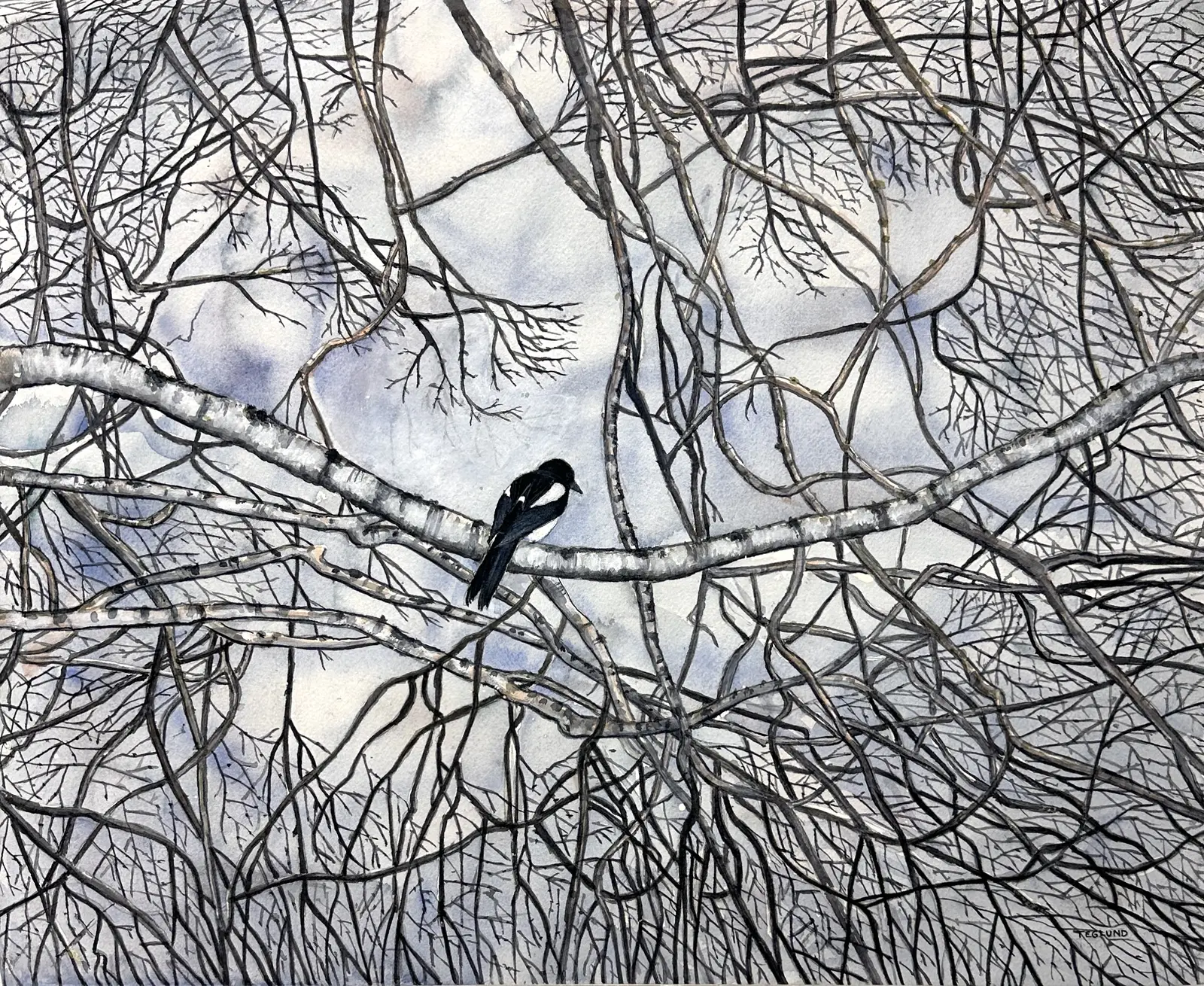 Akvarell Skatan som satt på en gren av Sven Teglund