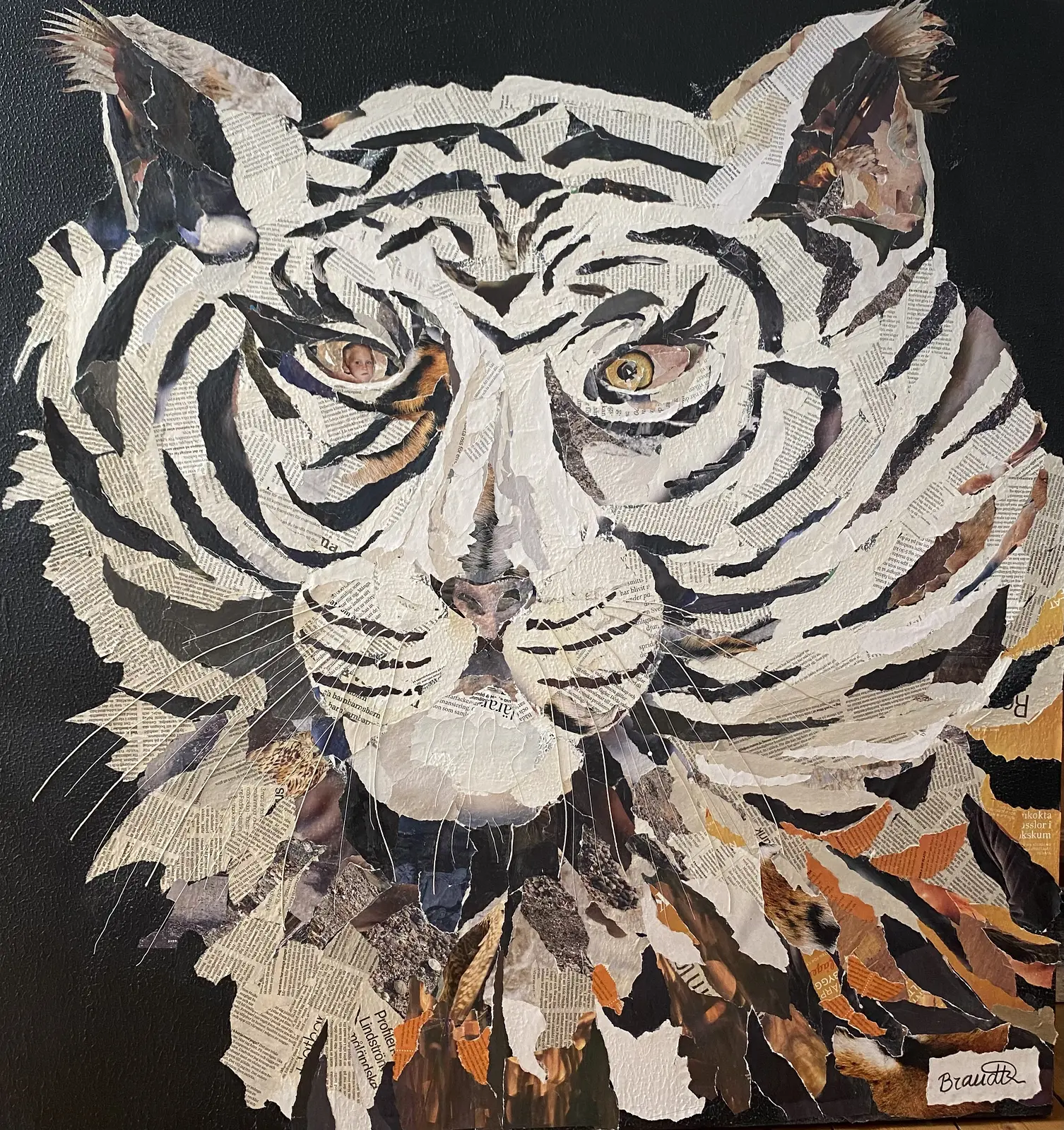 Metamorfos-Den vita tigern av Lena Brandt