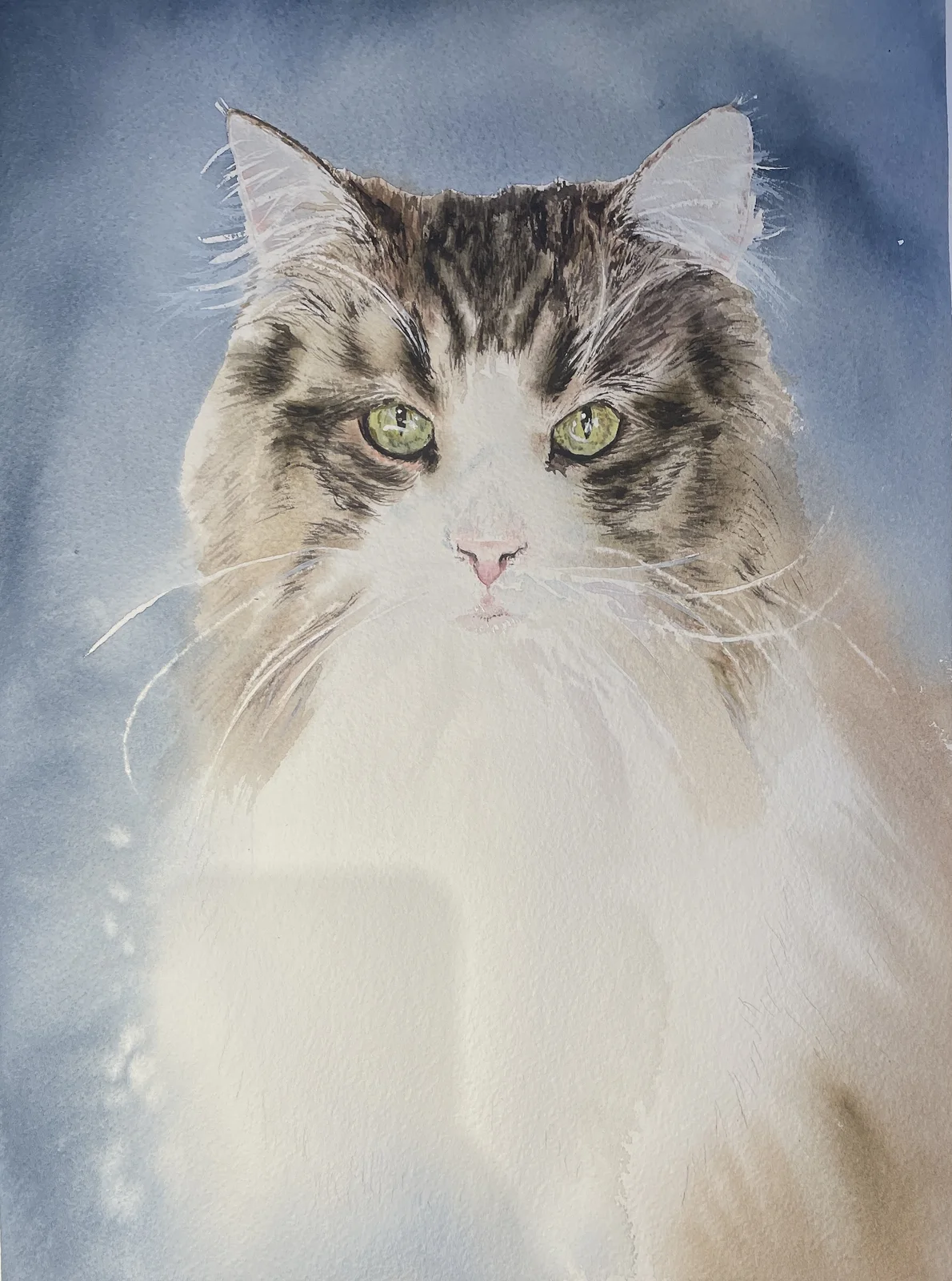 Akvarell Norsk skogskatt av Maria Möller