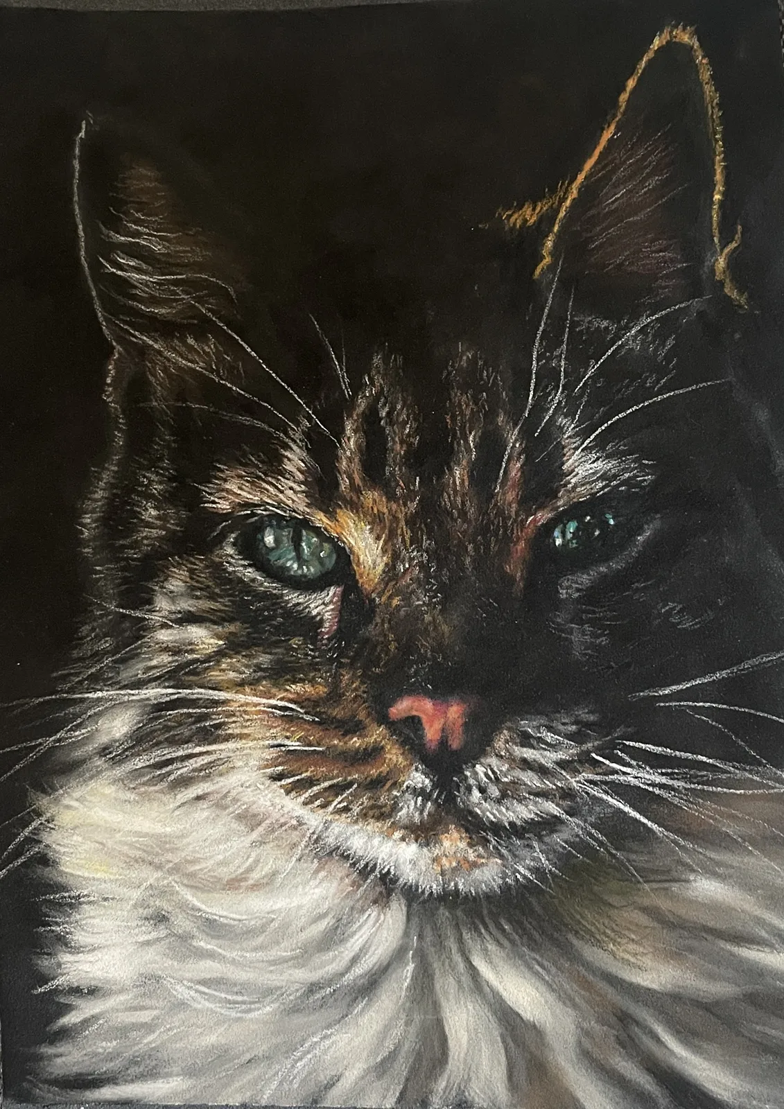 Katti mörker av Maria Möller