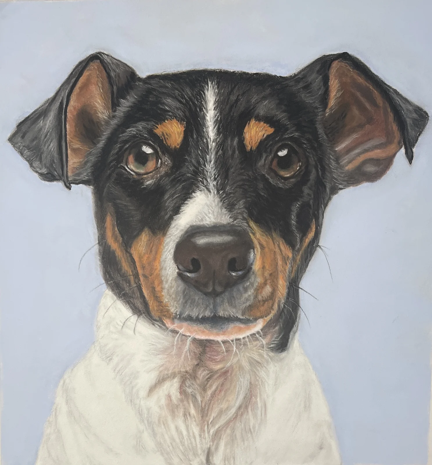 Jack Russell av Maria Möller