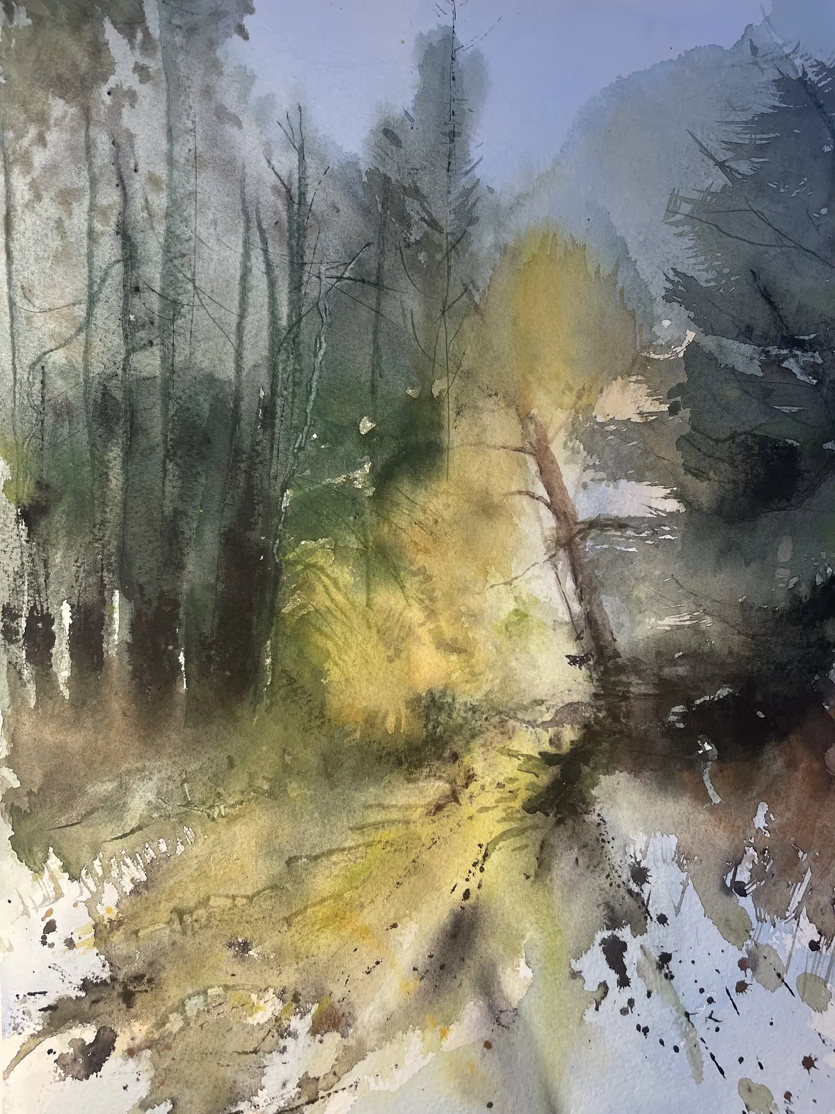 Akvarell Skogsglänta av Maria Möller