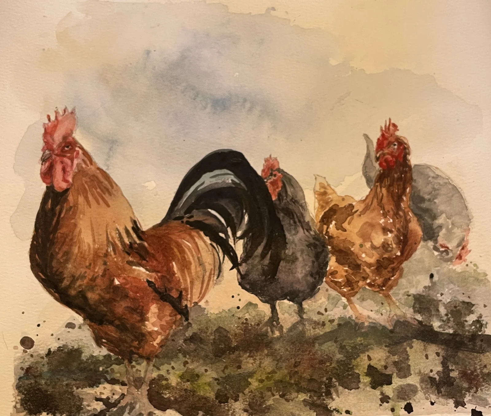 Akvarell Titta! Där står han tuppen! av Maria Möller