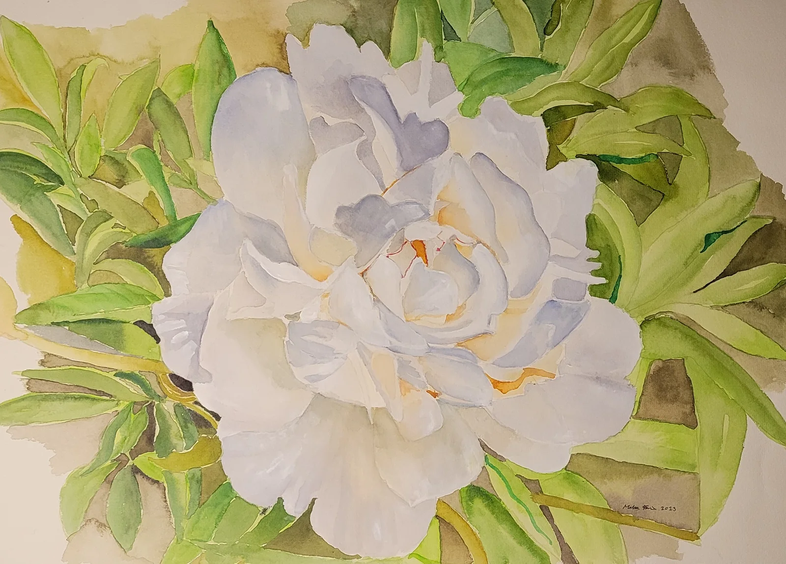 Akvarell Vit pion av Malva Forslin