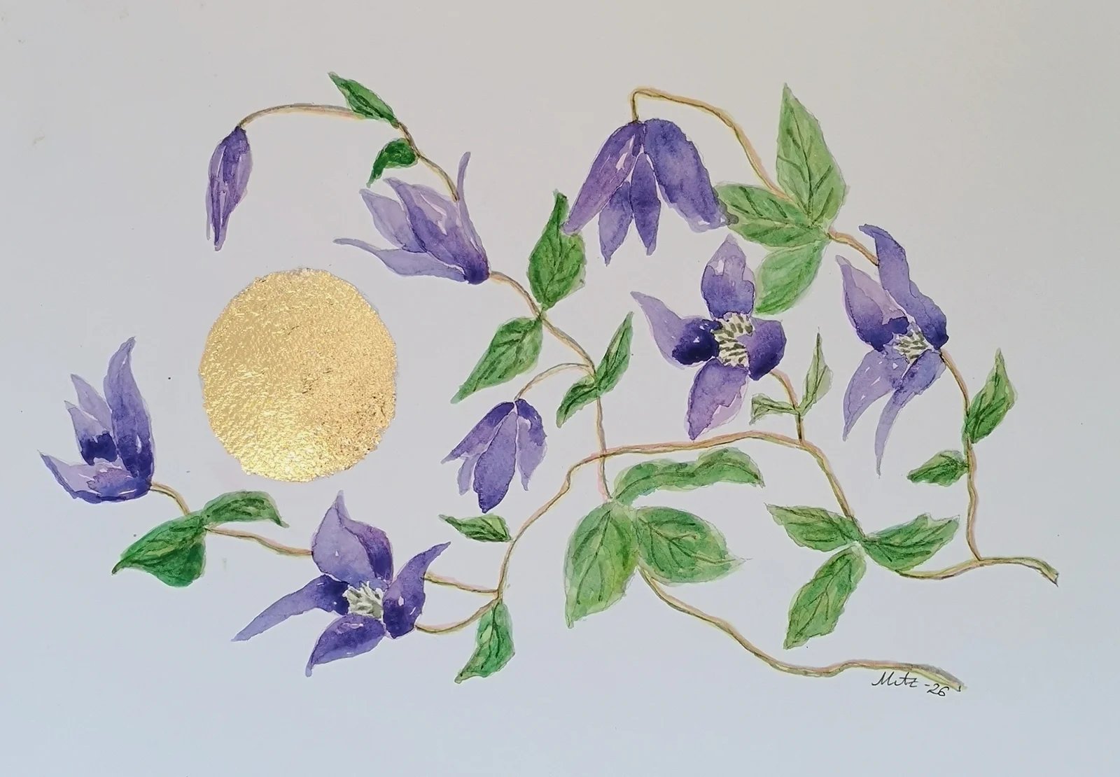 Akvarell Klematis av Maria Anderzén