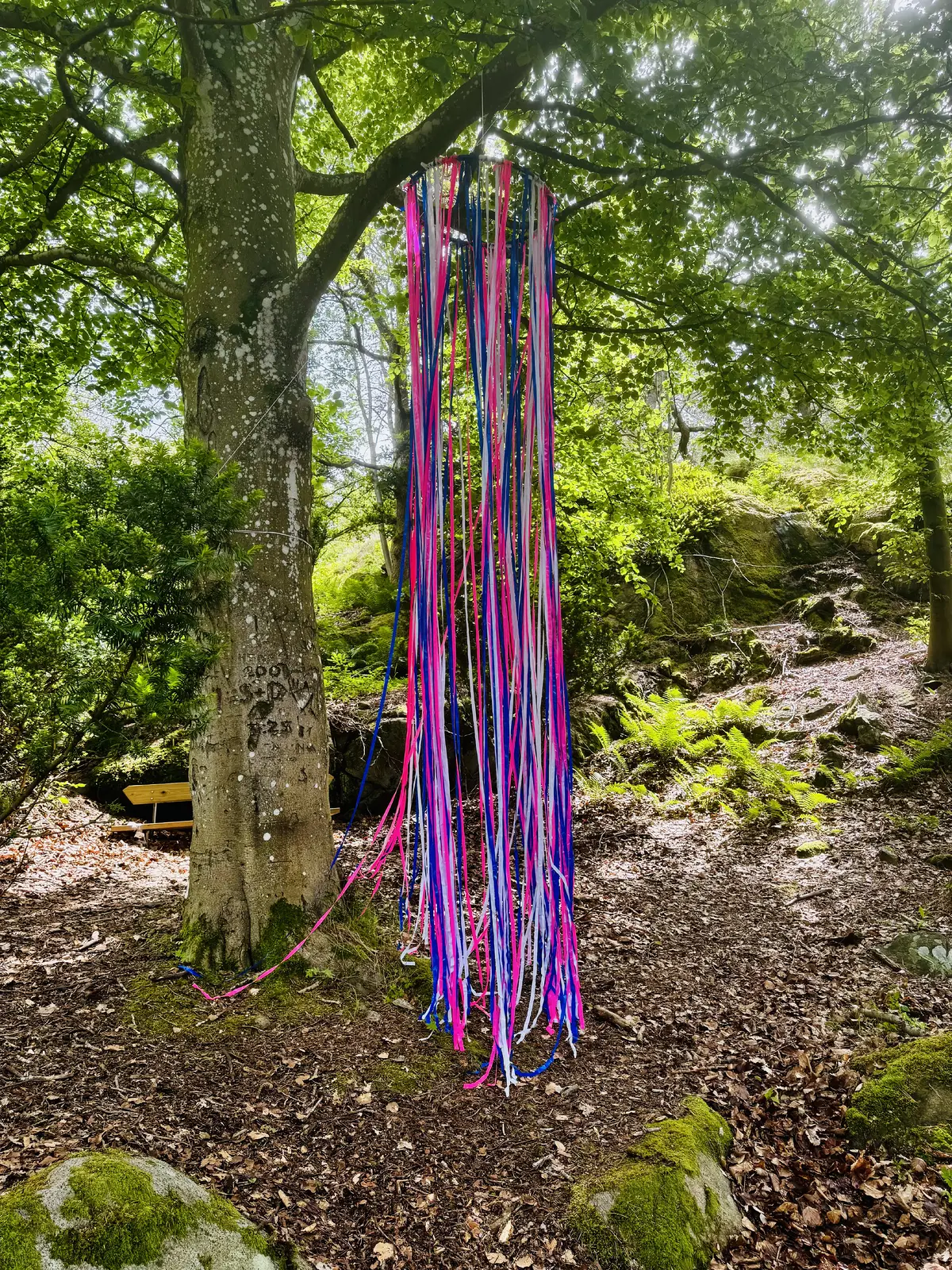 Transformation av Nikolas Nilsson