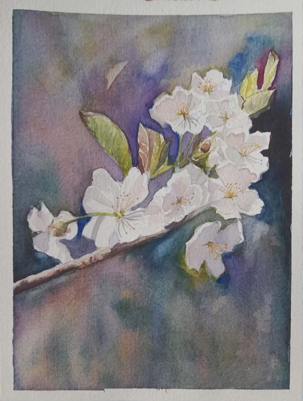 Äppelblom av Petra Skogsberg