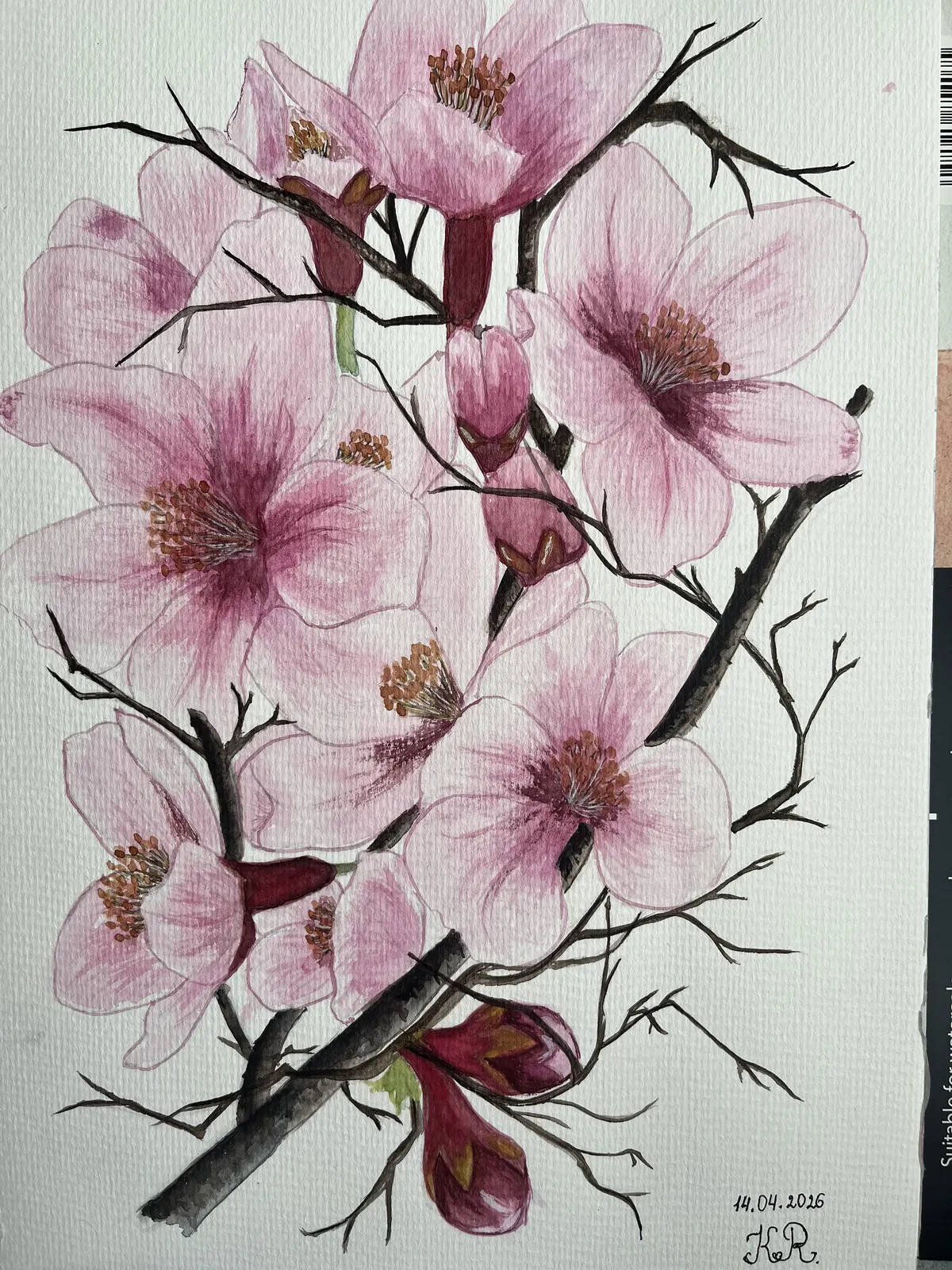 Akvarell Körsbärsblommor i vårsol av Kateryna Rudenko