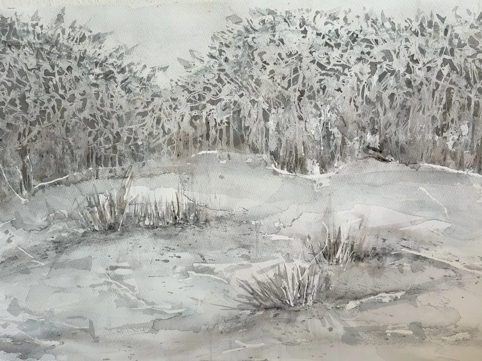 Akvarell I vassen av Eva Sofia Liljestrand