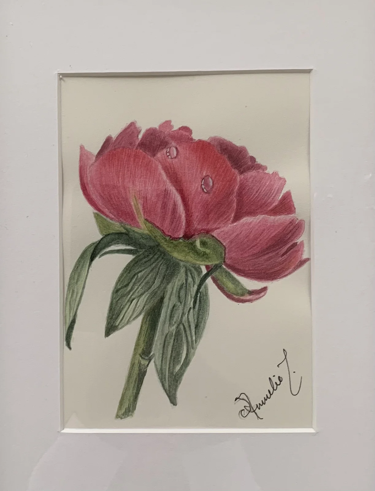 Akvarell Pion av Annelie Johansson