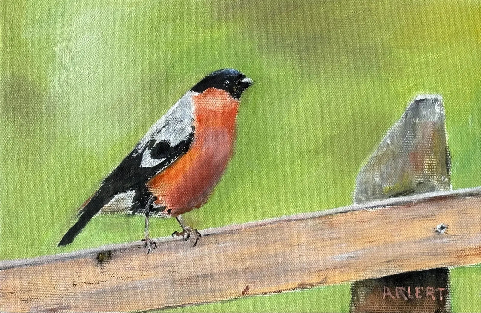 Oljemålning Domherre av Bertil Arlert