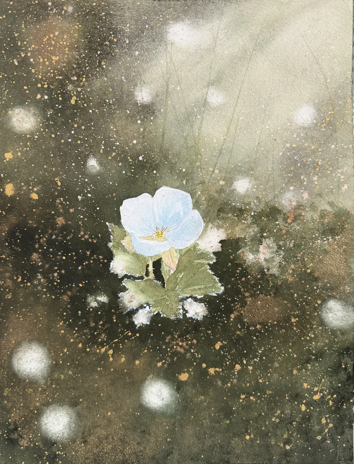 Akvarell Hjortronblomma av Desirée Rutqvist