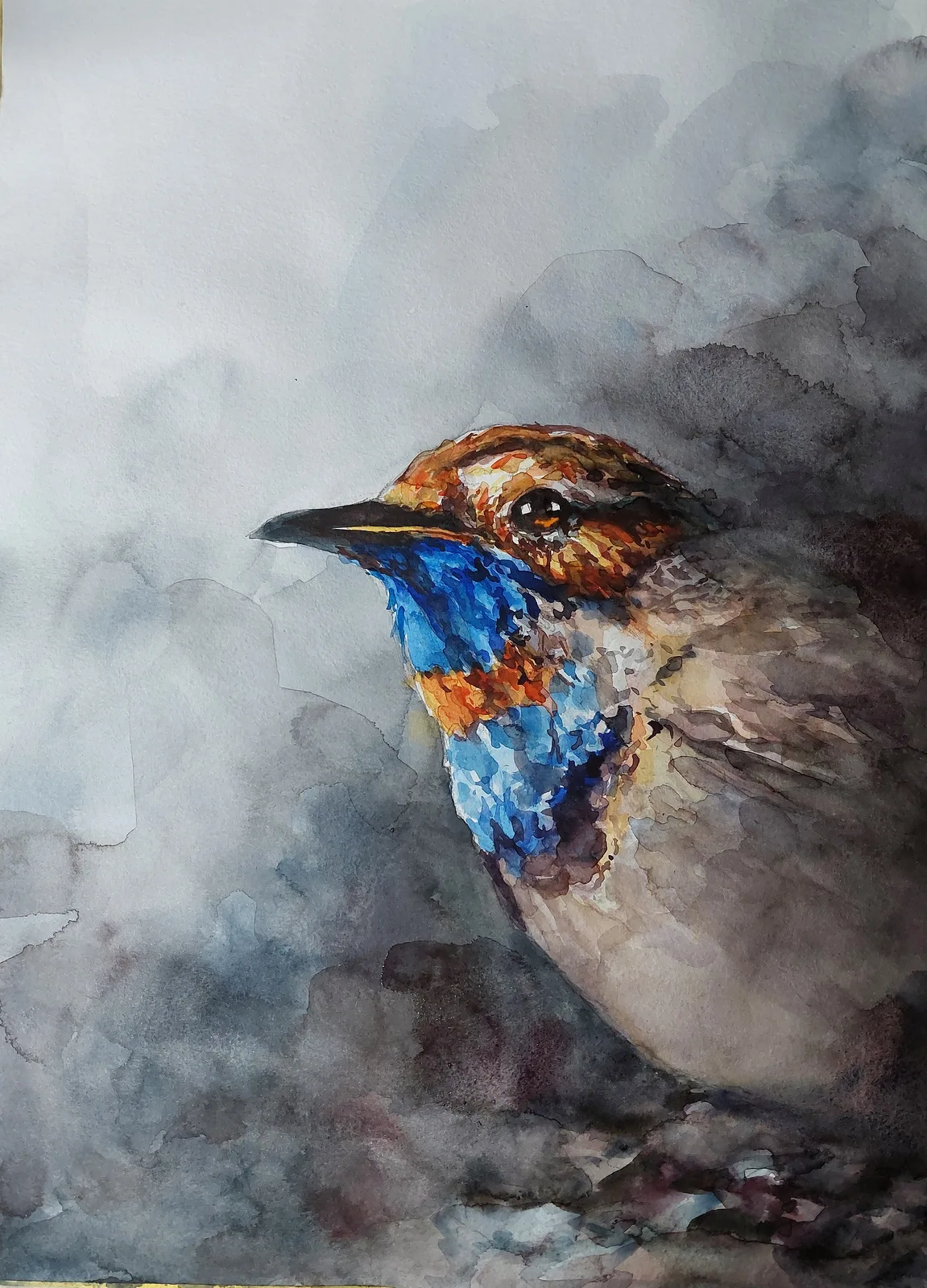 Akvarell Blåhake av David Forslund