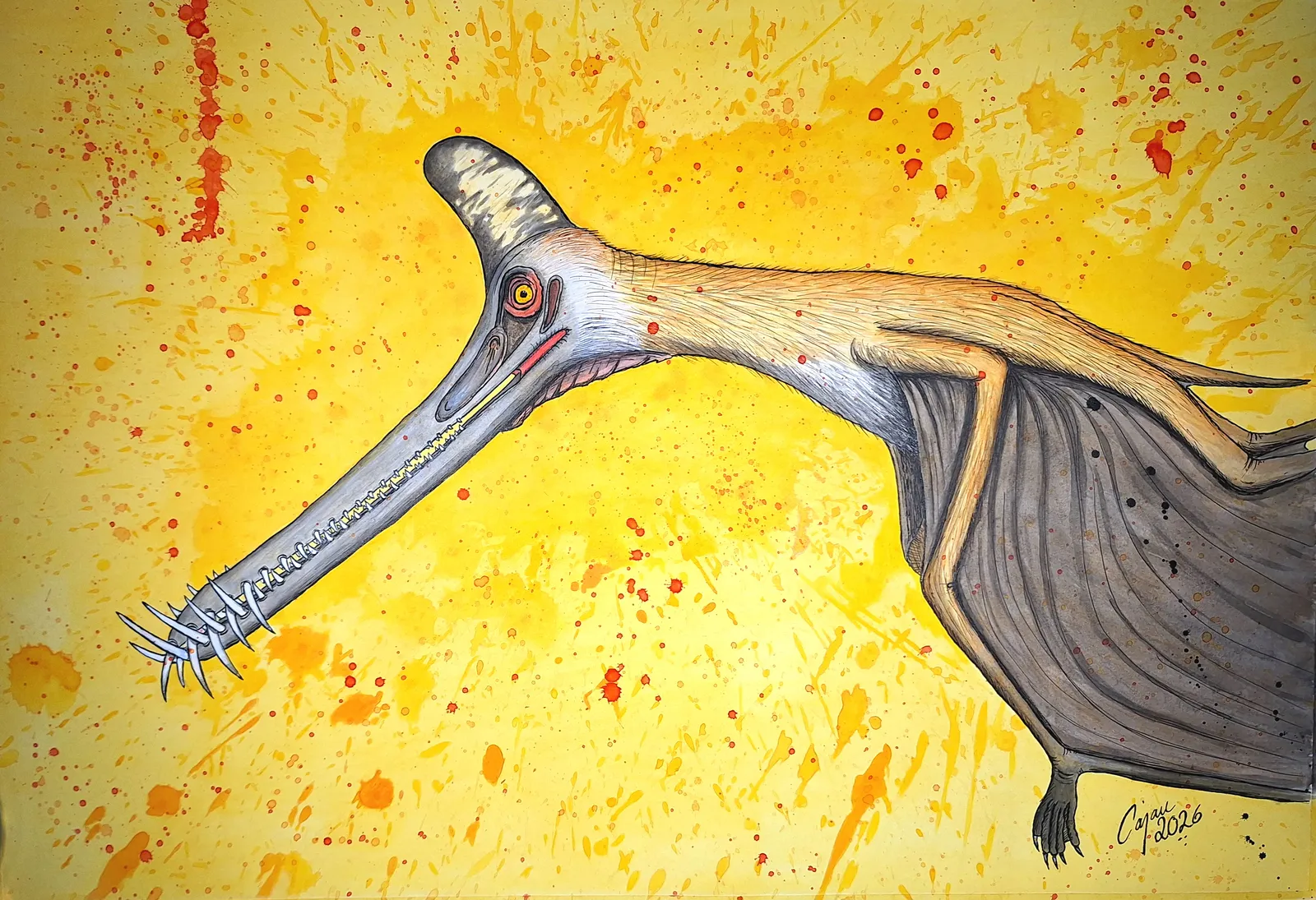 Guidraco av Carina Cajan Jansson