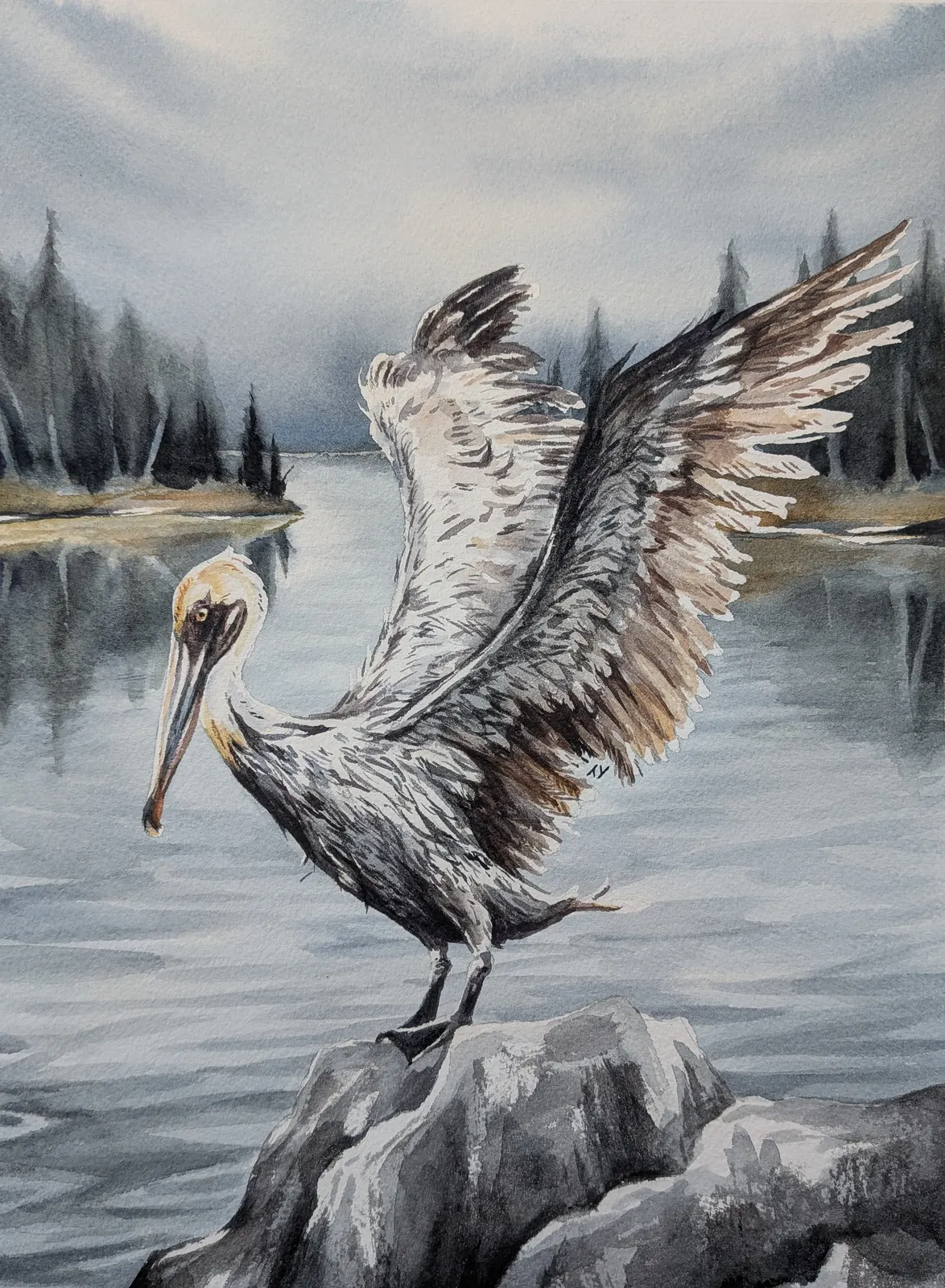 Akvarell Pelikan av Tove Y